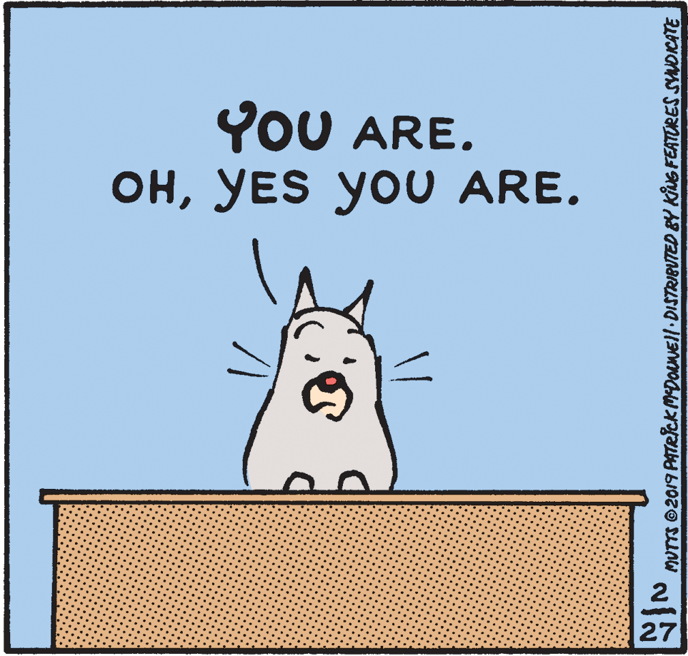 Whiskers OCR: YOU ARE. ???ES yo0 ARE. 2 27 MUTTS @2019 PATRICKMDORNEll. DISTRIBUTED BY KiNG FEATURES SYNDKATE YOU ARE. ???ES yo0 ARE. 2 27 MUTTS @2019 PATRICKMDORNEll. DISTRIBUTED BY KiNG FEATURES SYNDKATE