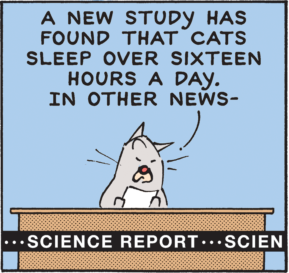Poster OCR: A NEW STUDY HAS FOUND THAT CATS SLEEP OVER SIXTEEN HOURS A DAY. IN OTHER NEWS- ...SCIENCE REPORT..•SCIEN •.. A NEW STUDY HAS FOUND THAT CATS SLEEP OVER SIXTEEN HOURS A DAY. IN OTHER NEWS- ...SCIENCE REPORT..•SCIEN •..