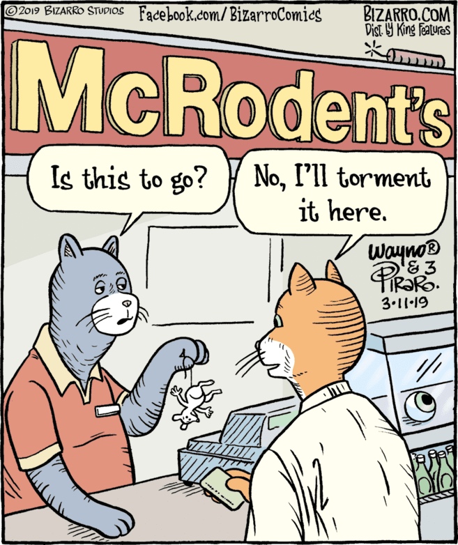 Illustration OCR: ©2019 BIZARRO STUDIOS Facebook.com/ BizarroComics BIZARRO.COM Dist 9 King features McRodent's Is this to go? NoI'll torment it here. wayno® TIR?RO. 3.11•19 ©2019 BIZARRO STUDIOS Facebook.com/ BizarroComics BIZARRO.COM Dist 9 King features McRodent's Is this to go? NoI'll torment it here. wayno® TIR?RO. 3.11•19