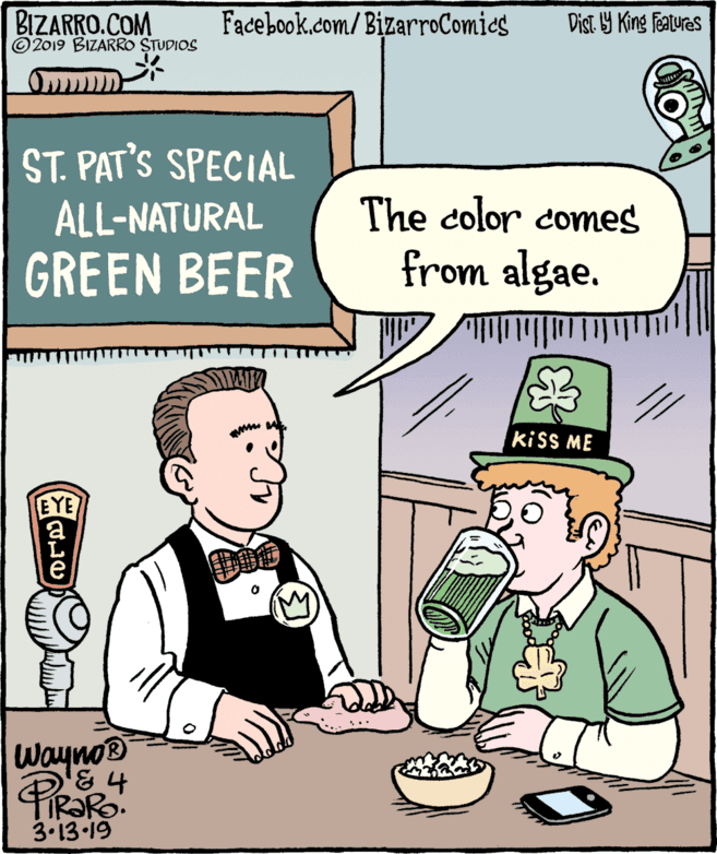 Illustration OCR: BIZARRO.COM © 2019 BIZARRO STUDIOS Facebook.com/ BizarroComics Dist Y King Features ST. PAT'S SPECIAL ALL-NATURAL GREEN BEER The color comes from algae. ki SS ME EYE Wayno® 3.13•19 BIZARRO.COM © 2019 BIZARRO STUDIOS Facebook.com/ BizarroComics Dist Y King Features ST. PAT'S SPECIAL ALL-NATURAL GREEN BEER The color comes from algae. ki SS ME EYE Wayno® 3.13•19