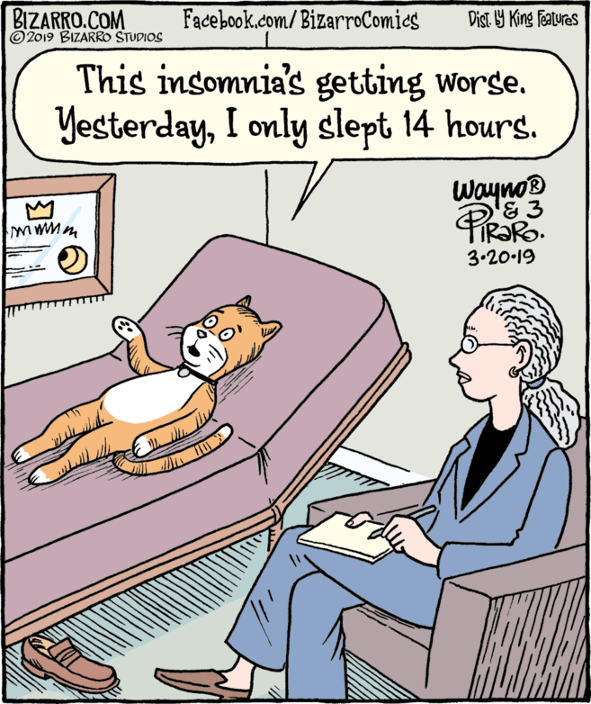 Conversation OCR: BIZARRO.COM © 2019 BIZARRO STUDIOS Facebook.com/BizarroComies Dist Y King Fatures This insomnia's getting worse. YesterdayI only slept 14 hours. Wayno® & 3 IR?RO. 3.20.19 BIZARRO.COM © 2019 BIZARRO STUDIOS Facebook.com/BizarroComies Dist Y King Fatures This insomnia's getting worse. YesterdayI only slept 14 hours. Wayno® & 3 IR?RO. 3.20.19