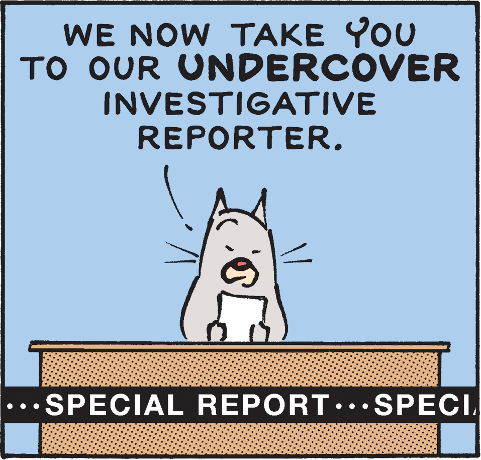 Snout OCR: WE NOW TAKE YOU TO OUR UNDERCOVER INVESTIGATIVE REPORTER. •••SPECIAL REPORT..• SPECIWE NOW TAKE YOU TO OUR UNDERCOVER INVESTIGATIVE REPORTER. •••SPECIAL REPORT..• SPECI