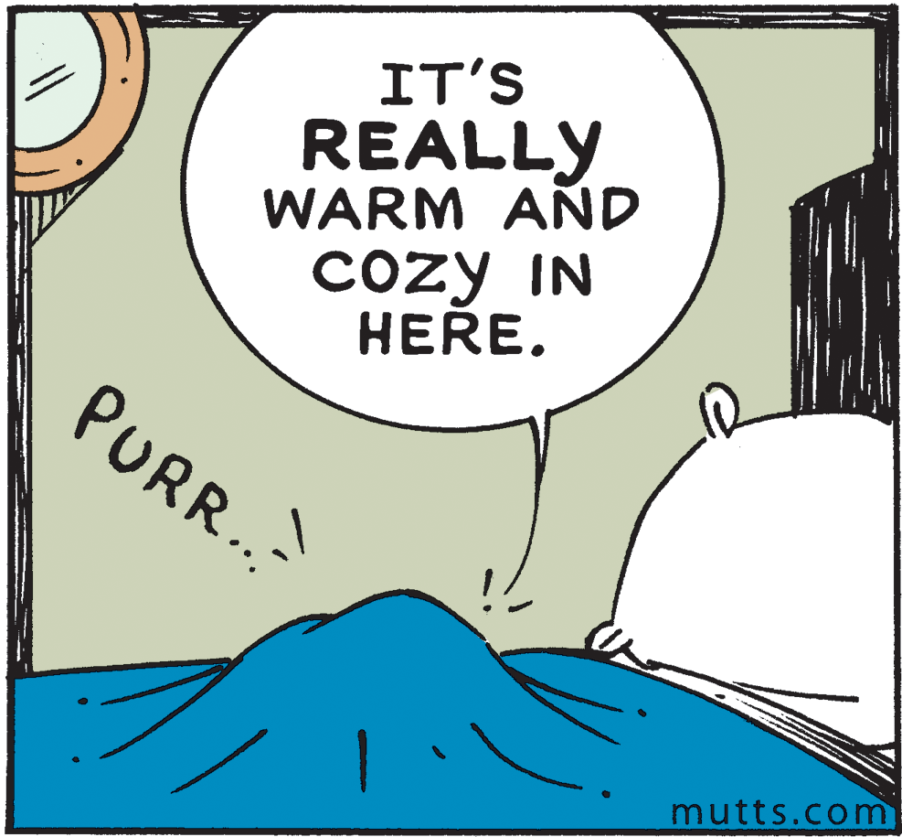 Rectangle OCR: IT'S REALLY WARM AÑD cozy IN HERE. PURR. mutts.com IT'S REALLY WARM AÑD cozy IN HERE. PURR. mutts.com