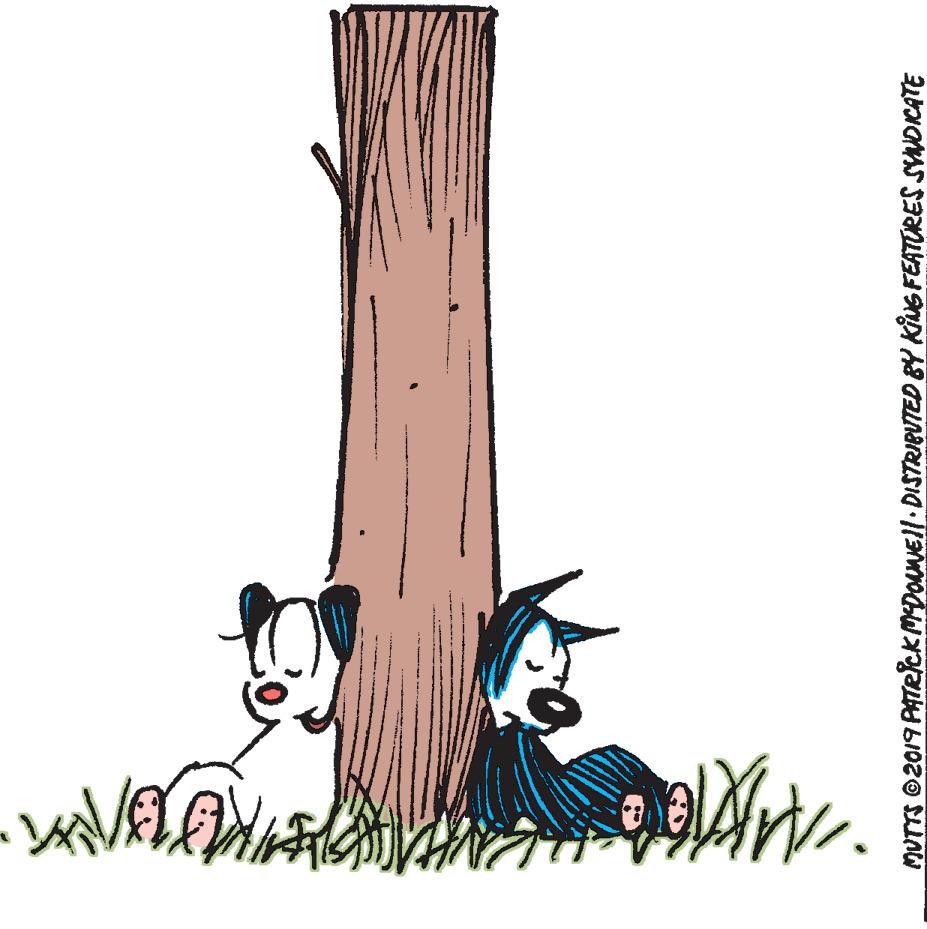 Painting OCR: MUTTS ©2019 PATRICKMDOuNE!l.DISTRIPUTED BY KiNS FEATORES SYNDICATE MUTTS ©2019 PATRICKMDOuNE!l.DISTRIPUTED BY KiNS FEATORES SYNDICATE