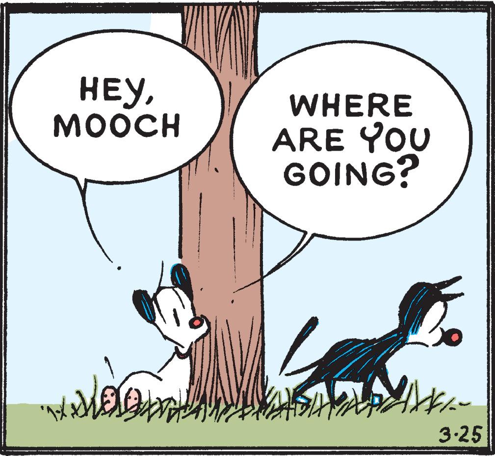 Art OCR: HEY MOOCH WHERE ARE YOU GOING? 3.25 HEY MOOCH WHERE ARE YOU GOING? 3.25