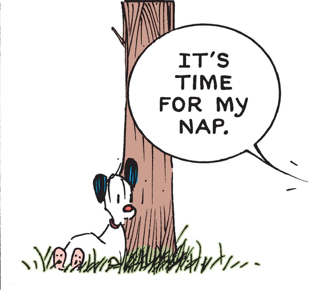 Illustration OCR: IT'S TIME FOR MY NAP. IT'S TIME FOR MY NAP.