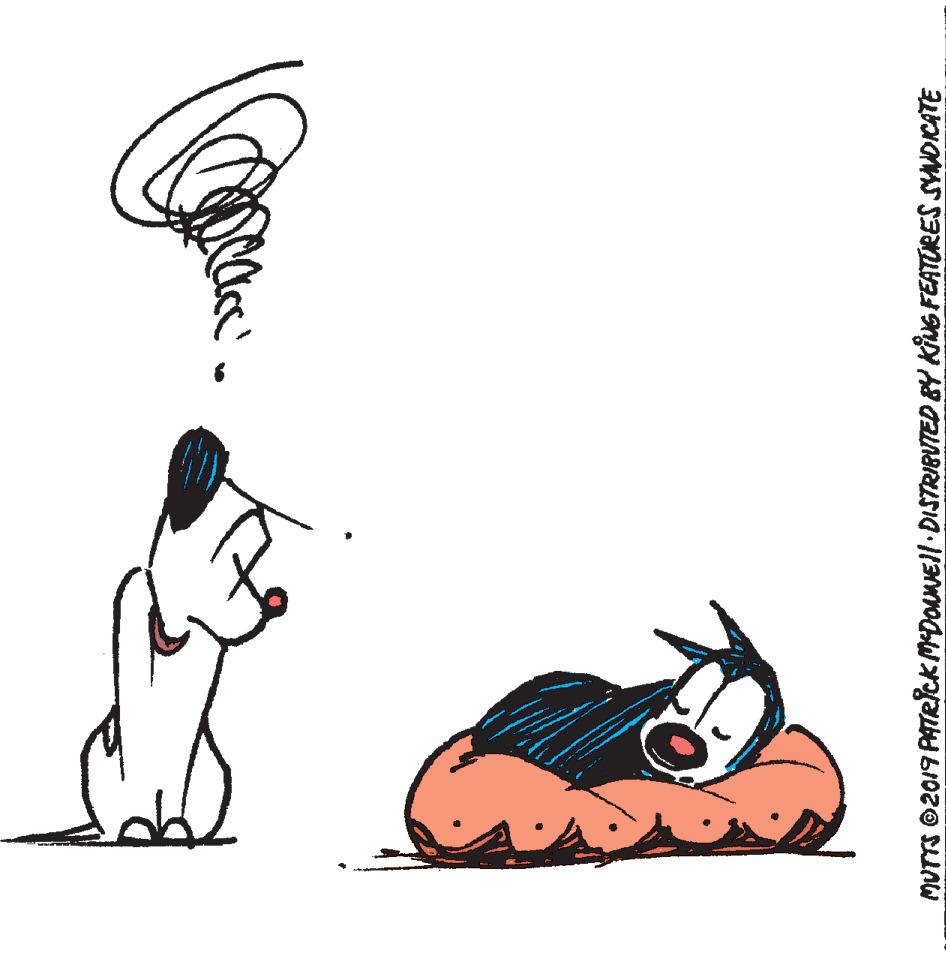 Illustration OCR: MUTTS 2019 PATRICK MDONEII.DISTRIBUTED BY KiuG FEATURES SYNOCATE MUTTS 2019 PATRICK MDONEII.DISTRIBUTED BY KiuG FEATURES SYNOCATE