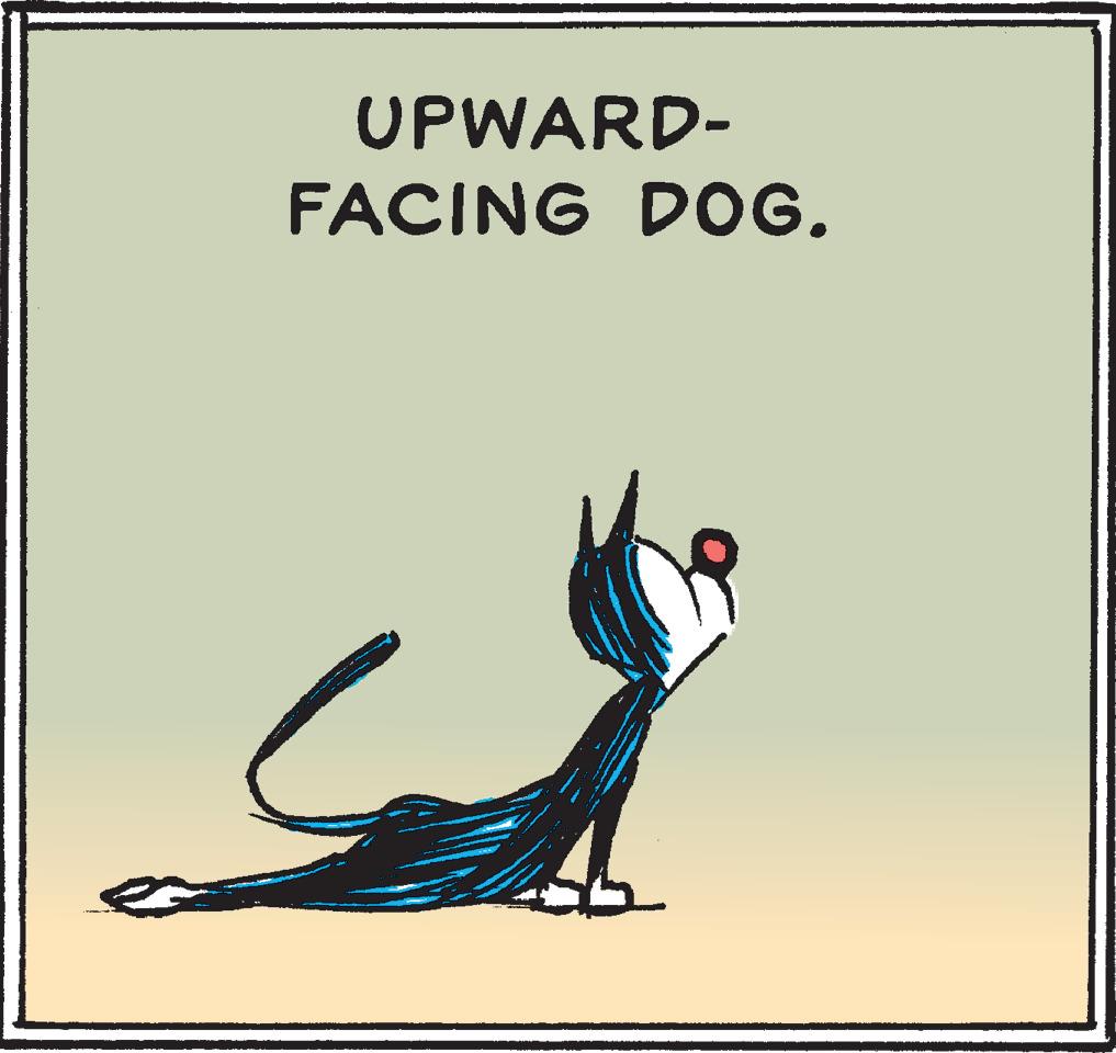 Fin OCR: UPWARD- FACING DOG. UPWARD- FACING DOG.