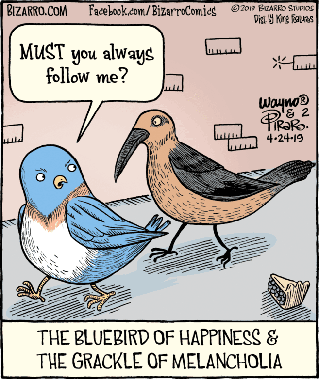 Rectangle OCR: BIZARRO.COM Facebook.com/BizarroComies ©2019 BIZARRO STUDIOS Dist. Y King Features MUST you always follow me? Wayno® '& 2 IR?RO. 4.24-19 THE BLUEBIRD OF HAPPINESS & THE GRACKLE OF MELANCHOLIA BIZARRO.COM Facebook.com/BizarroComies ©2019 BIZARRO STUDIOS Dist. Y King Features MUST you always follow me? Wayno® '& 2 IR?RO. 4.24-19 THE BLUEBIRD OF HAPPINESS & THE GRACKLE OF MELANCHOLIA