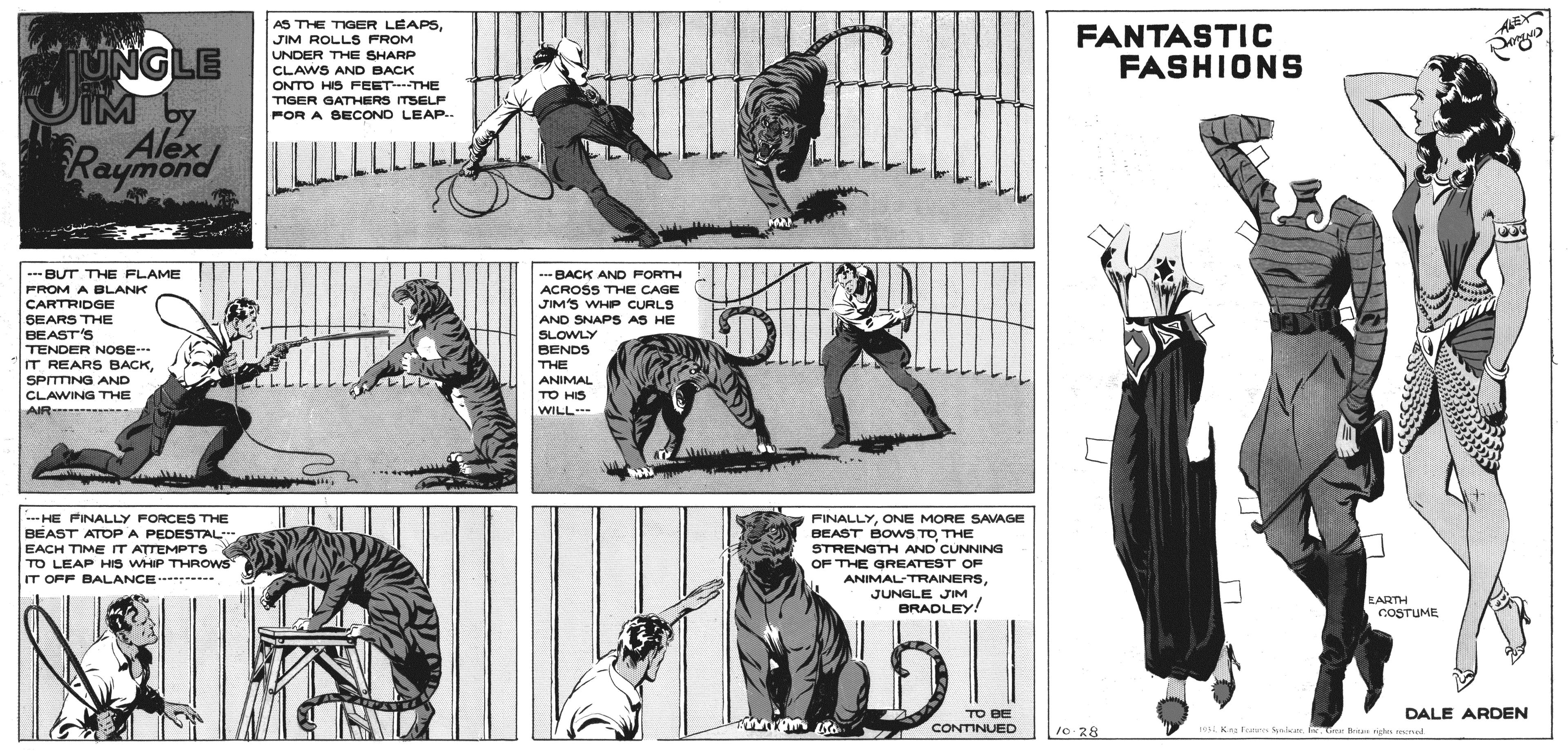 Art OCR: AS THE TIGER LEAPSJIM ROLLS FROM UNGLE FANTASTIC FASHIONS UNDER THE SHARP CLAWS AND BACK ONTO HIS FEETTHE TIGER GATHERS TSELF FOR A BECOND LEAP. Alex Raymond ---BUT THE FLAME FROM A BLANK CARTRIDGE SEARS THE BEAST'S TENDER NOSE- IT REARS BACKSPITING AND - BACK AND FORTH ACROSS THE CAGE JIMS WHIP CURLS AND SNAPS AS HE SLOWLY BENDS THE ANIMAL CLAWING THE TO HS AIR-- WILL -HE FINALLY FORCES THE BEAST ATOP A PEDESTAL" EACH TIME IT ATTEMPTS TO LEAP HIS WHIP THROWS IT OFF BALANCE ---- FINALLYONE MORE SAVAGE BEAST BowS TO THE STRENGTH AND CUNNING OF THE GREATEST OF ANIMAL-TRAINERSBRADLEY! EARTH COSTUME DALE ARDEN TO BE CONTINUED 1o. 28 L K fa hakar. .T B ned AS THE TIGER LEAPSJIM ROLLS FROM UNGLE FANTASTIC FASHIONS UNDER THE SHARP CLAWS AND BACK ONTO HIS FEETTHE TIGER GATHERS TSELF FOR A BECOND LEAP. Alex Raymond ---BUT THE FLAME FROM A BLANK CARTRIDGE SEARS THE BEAST'S TENDER NOSE- IT REARS BACKSPITING AND - BACK AND FORTH ACROSS THE CAGE JIMS WHIP CURLS AND SNAPS AS HE SLOWLY BENDS THE ANIMAL CLAWING THE TO HS AIR-- WILL -HE FINALLY FORCES THE BEAST ATOP A PEDESTAL" EACH TIME IT ATTEMPTS TO LEAP HIS WHIP THROWS IT OFF BALANCE ---- FINALLYONE MORE SAVAGE BEAST BowS TO THE STRENGTH AND CUNNING OF THE GREATEST OF ANIMAL-TRAINERSJUNGLE JIMBRADLEY! EARTH COSTUME DALE ARDEN TO BE CONTINUED 1o. 28 L K fa hakar. .T B ned
