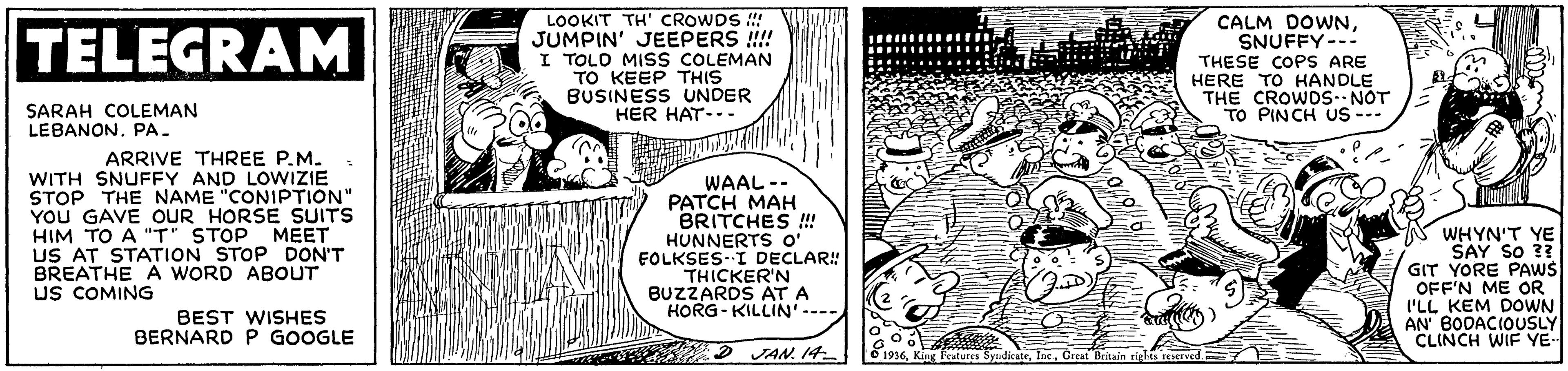 Line OCR: LOOKIT TH' CROWDS ! JUMPIN' JEEPERS !!! I TOLO MISS COLEMAN TO KEEP THIS BUSINESS UNDER HER HAT-- CALM DOWNSNUFFY--- TELEGRAM THESE COPS ARE HERE TO HANDLE THE CROWDS-- NOT TO PINCH Us.. SARAH COLEMAN LEBANON. PA. ARRIVE THREE P.M. WITH SNUFFY AND LOWIZIE STOP THE NAME "CONIPTION" YOU GAVE OUR HORSE SUITS HIM TO A "T STOP US AT STATION STOP DON'T BREATHE A WORD ABOUT US COMING WAAL-- PATCH MAH BRITCHES ! HUNNERTS O' FOLKSES--I DECLAR! THICKER'N BUZZARDS AT A HORG- KILLIN'---- WHYN'T YE SAY So ?? GIT YORE PAWS OFF'N ME OR I'LL KEM DOWN AN BODACIOUSLY CLINCH WIF YE- MEET BEST WISHES BERNARD P GOOGLE 2 JAN. 14 1936Creat Britain rights rEved LOOKIT TH' CROWDS ! JUMPIN' JEEPERS !!! I TOLO MISS COLEMAN TO KEEP THIS BUSINESS UNDER HER HAT-- CALM DOWNSNUFFY--- TELEGRAM THESE COPS ARE HERE TO HANDLE THE CROWDS-- NOT TO PINCH Us.. SARAH COLEMAN LEBANON. PA. ARRIVE THREE P.M. WITH SNUFFY AND LOWIZIE STOP THE NAME "CONIPTION" YOU GAVE OUR HORSE SUITS HIM TO A "T STOP US AT STATION STOP DON'T BREATHE A WORD ABOUT US COMING WAAL-- PATCH MAH BRITCHES ! HUNNERTS O' FOLKSES--I DECLAR! THICKER'N BUZZARDS AT A HORG- KILLIN'---- WHYN'T YE SAY So ?? GIT YORE PAWS OFF'N ME OR I'LL KEM DOWN AN BODACIOUSLY CLINCH WIF YE- MEET BEST WISHES BERNARD P GOOGLE 2 JAN. 14 1936King Features SysdicateCreat Britain rights rEved