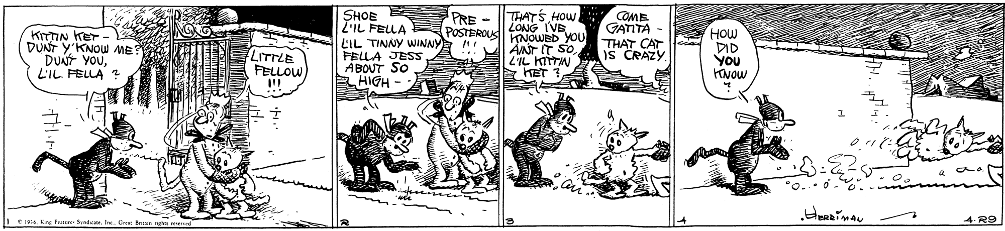 Comic book OCR: SHOE L'IL FELLA LIL TINNY WINNYE FELLA JESS ABOUT SO HIGH THATS HOW COME LONG IVE KNOWED YOU THAT CAT 2IL KITTIN E HET PRE - POSTEROUS GATITA KITTIN KET - DUNT Y'KNOW ME DUNT YOUL'IL. FELLA ? LITTLE FELLOW !! HOW DID You KNOW IS CRAZY. 4.R9 re Fature SHOE L'IL FELLA LIL TINNY WINNYE FELLA JESS ABOUT SO HIGH THATS HOW COME LONG IVE KNOWED YOU THAT CAT 2IL KITTIN E HET PRE - POSTEROUS GATITA KITTIN KET - DUNT Y'KNOW ME DUNT YOUL'IL. FELLA ? LITTLE FELLOW !! HOW DID You KNOW IS CRAZY. 4.R9 re Fature
