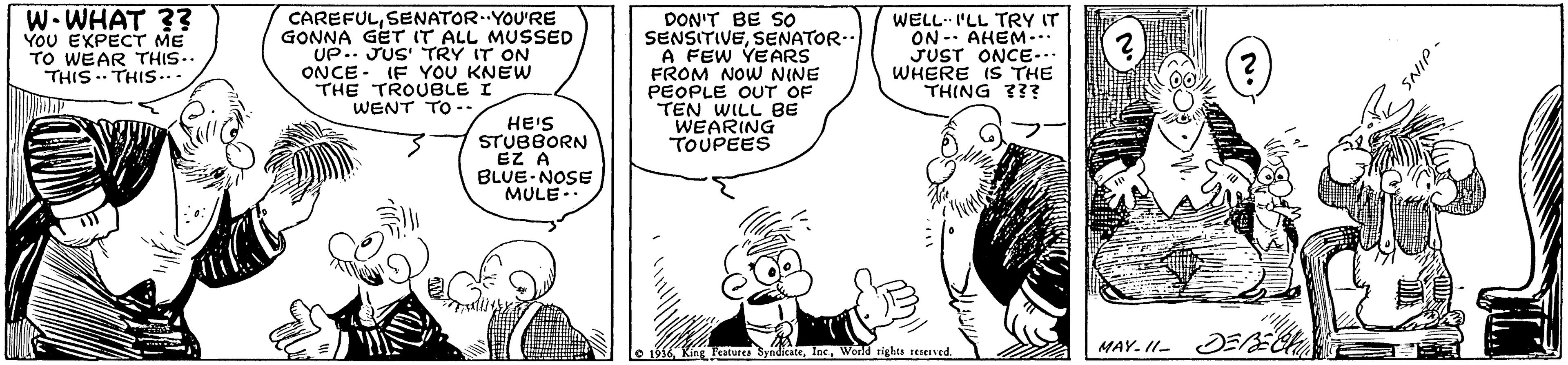 Font OCR: W-WHAT 3? YOU EXPECT ME TO WEAR THIS.. THIS . THIS... CAREFULSENATOR.YOU'RE GONNA GET IT ALL MUSSED UP.. JUS TRY IT ON ONCE- IF YOU KNEW THE TROUBLE WENT TO -- DON'T BE SO SENSITIVESENATOR.. A FEW YEARS FROM NOW NINE PEOPLE OUT OF TEN WILL BE WEARING TOUPEES WELL 'LL TRY IT ON -- AHEM... JUST ONCE... WHERE IS THE THING ??? HE'S STUBBORN EZ A BLUE NOSE MULE le 1556King Teatures MAY. II- DEE rights resened W-WHAT 3? YOU EXPECT ME TO WEAR THIS.. THIS . THIS... CAREFULSENATOR.YOU'RE GONNA GET IT ALL MUSSED UP.. JUS TRY IT ON ONCE- IF YOU KNEW THE TROUBLE WENT TO -- DON'T BE SO SENSITIVESENATOR.. A FEW YEARS FROM NOW NINE PEOPLE OUT OF TEN WILL BE WEARING TOUPEES WELL 'LL TRY IT ON -- AHEM... JUST ONCE... WHERE IS THE THING ??? HE'S STUBBORN EZ A BLUE NOSE MULE le 1556King Teatures MAY. II- DEE rights resened