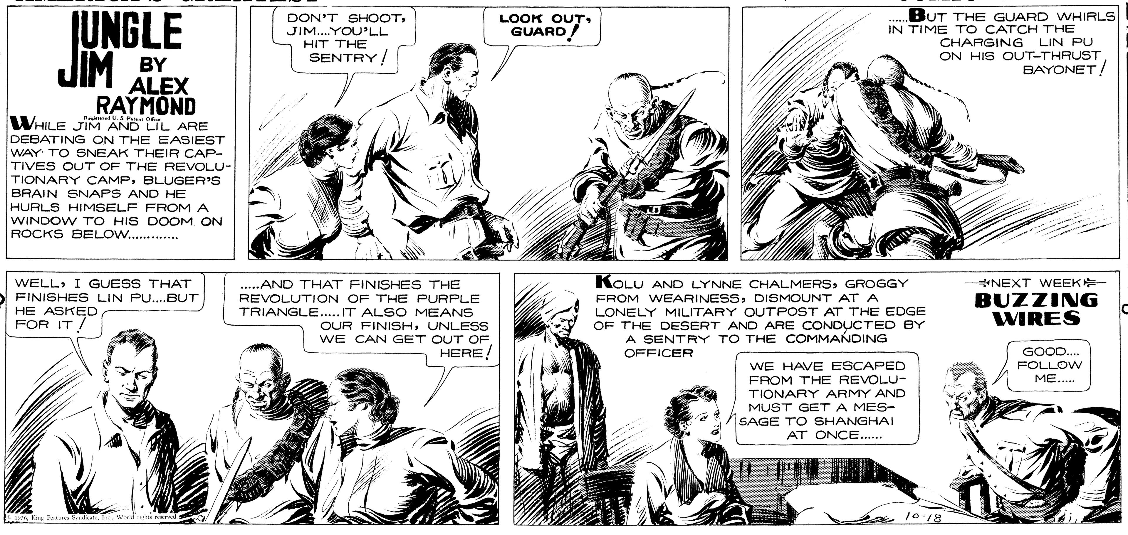 Line OCR: JUNGLE JIM BY DON'T SHOOTJIM...YOU'LL HIT THE SENTRY/ BUT THE GUARD WHIRLS IN TIME TO CATCH THE CHARGING LIN PU ON HIS OUT-THRUST BAYONET! LOOK OUTGUARD! ALEX RAYMOND WHILE JIM AND LIL ARE DEBATING ON THE EASIEST WAY TO SNEAK THEIR CAP- TIVES OUT OF THE REVOLU- TIONARY CAMPBLUGER'S BRAIN SNAPS AND HE HURLS HIMSELF FROM A WINDOW TO HIS DOOM ON ROCKS BELOW . KOLU AND LYNNE CHALMERSGROGGY WELLI GUESS THAT FINISHES LIN PU..BUT HE ASKED FOR IT/ NEXT WEEK- ..AND THAT FINISHES THE REVOLUTION OF THE PURPLE TRIANGLE..IT ALSO MEANS OUR FINISHUNLESS WE CAN GET OUT OF HERE! FROM WEARINESSDISMOUNT AT A LONELY MILITARY OUTPOST AT THE EDGE OF THE DESERT AND ARE CONDUCTED BY BUZZING WIRES A SENTRY TO THE COMMANDING GOOD.. FOLLOW ME.. OFFICER WE HAVE ESCAPED FROM THE REVOLU- TIONARY ARMY AND MUST GETA MES- SAGE TO SHANGHAI AT ONCE.. 10-18 JUNGLE JIM BY DON'T SHOOTJIM...YOU'LL HIT THE SENTRY/ BUT THE GUARD WHIRLS IN TIME TO CATCH THE CHARGING LIN PU ON HIS OUT-THRUST BAYONET! LOOK OUTGUARD! ALEX RAYMOND WHILE JIM AND LIL ARE DEBATING ON THE EASIEST WAY TO SNEAK THEIR CAP- TIVES OUT OF THE REVOLU- TIONARY CAMPBLUGER'S BRAIN SNAPS AND HE HURLS HIMSELF FROM A WINDOW TO HIS DOOM ON ROCKS BELOW . KOLU AND LYNNE CHALMERSGROGGY WELLI GUESS THAT FINISHES LIN PU..BUT HE ASKED FOR IT/ NEXT WEEK- ..AND THAT FINISHES THE REVOLUTION OF THE PURPLE TRIANGLE..IT ALSO MEANS OUR FINISHUNLESS WE CAN GET OUT OF HERE! FROM WEARINESSDISMOUNT AT A LONELY MILITARY OUTPOST AT THE EDGE OF THE DESERT AND ARE CONDUCTED BY BUZZING WIRES A SENTRY TO THE COMMANDING GOOD.. FOLLOW ME.. OFFICER WE HAVE ESCAPED FROM THE REVOLU- TIONARY ARMY AND MUST GETA MES- SAGE TO SHANGHAI AT ONCE.. 10-18