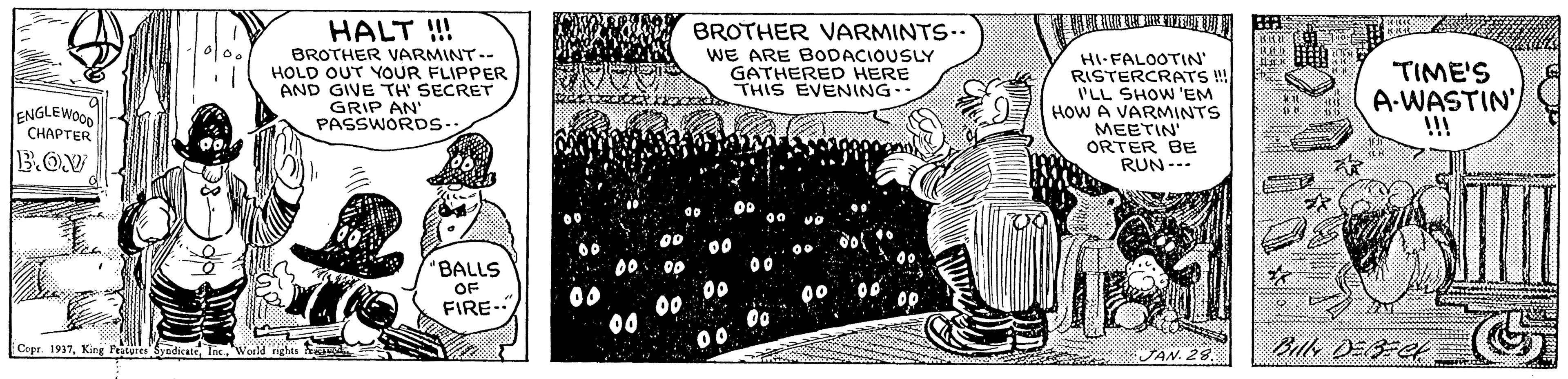 Art OCR: HALT !! BROTHER VARMINT-- HOLD OUT YOUR FLIPPER AND GIVE TH' SECRET GRIP AN' PASSWORDS- BROTHER VARMINTS.. WE ARE BODACIOUSLY GATHERED HERE THIS EVENING- HI-FALOOTIN' RISTERCRATS I'LL SHOW'EM HoW A VARMINTS MEETIN ORTER BE RUN--- TIME'S A-WASTIN' !!! ENGLEWOOD CHAPTER B.ON "BALLS OF FIRE- 00 Copr. 1937"Woeld es Bilk DEet YAN. 28 HALT !! BROTHER VARMINT-- HOLD OUT YOUR FLIPPER AND GIVE TH' SECRET GRIP AN' PASSWORDS- BROTHER VARMINTS.. WE ARE BODACIOUSLY GATHERED HERE THIS EVENING- HI-FALOOTIN' RISTERCRATS I'LL SHOW'EM HoW A VARMINTS MEETIN ORTER BE RUN--- TIME'S A-WASTIN' !!! ENGLEWOOD CHAPTER B.ON "BALLS OF FIRE- 00 Copr. 1937King Pture Syedicat Inc"Woeld es Bilk DEet YAN. 28