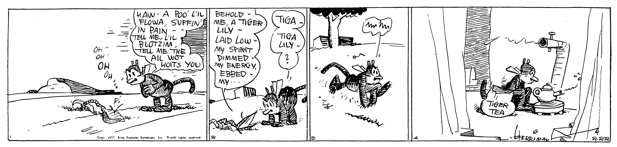 Illustration OCR: (HAW- A POo' L'IL FLOWASUFFIN IN PAIN TEU MEL'IL BLOTZIMTEU ME THE AIL WOT HOITS YOU BEHOLD MEA TIGER LILY - LAID Low My SPIRIT DIMMED My ENERGYEBBED My TIGA TIGA LILY OH OH OH TIGER TEA Cap kung beanue Synan a wuie na rwe ERRIMAN RRR (HAW- A POo' L'IL FLOWASUFFIN IN PAIN TEU MEL'IL BLOTZIMTEU ME THE AIL WOT HOITS YOU BEHOLD MEA TIGER LILY - LAID Low My SPIRIT DIMMED My ENERGYEBBED My TIGA TIGA LILY OH OH OH TIGER TEA Cap kung beanue Synan a wuie na rwe ERRIMAN RRR