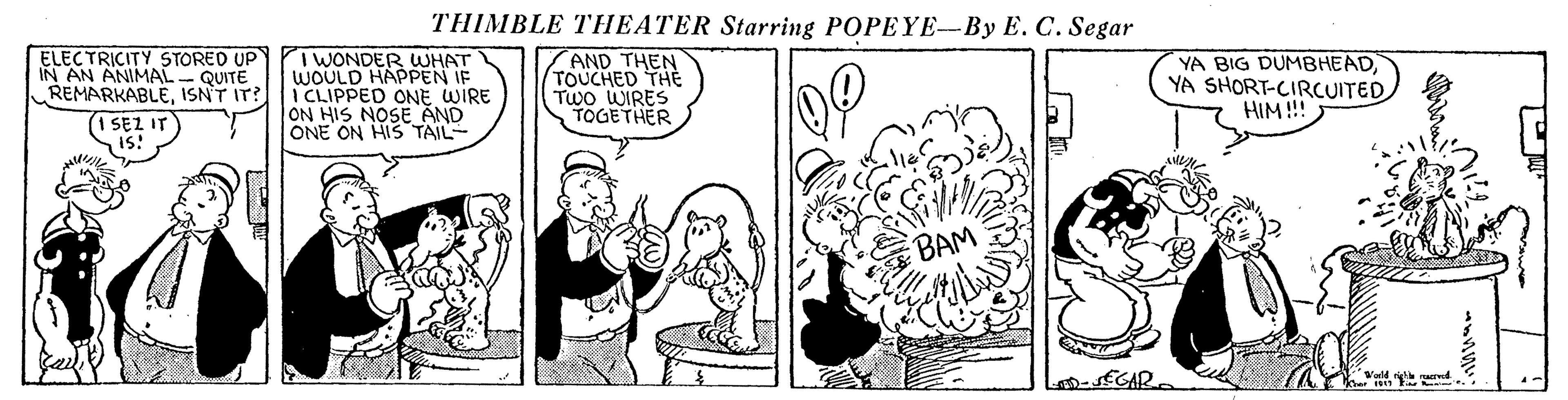 Art OCR: THIMBLE THEATER Starring POPEYE-By E. C. Segar ELECTRICITY STORED UP IN AN ANIMAL- QUITE REMARKABLEISNT IT? (1 SEZ IT 1S! I WONDER WHAT WOULD HAPPEN IF I CLIPPED ONE WIRE ON HIS NOSE AND ONE ON HIS TAIL- AND THEN TOUCHED THE Two WIRES TOGETHER YA BIG DUMBHEADYA SHORT-CIRcUITED HIM!!! BAM THIMBLE THEATER Starring POPEYE-By E. C. Segar ELECTRICITY STORED UP IN AN ANIMAL- QUITE REMARKABLEISNT IT? (1 SEZ IT 1S! I WONDER WHAT WOULD HAPPEN IF I CLIPPED ONE WIRE ON HIS NOSE AND ONE ON HIS TAIL- AND THEN TOUCHED THE Two WIRES TOGETHER YA BIG DUMBHEADYA SHORT-CIRcUITED HIM!!! BAM