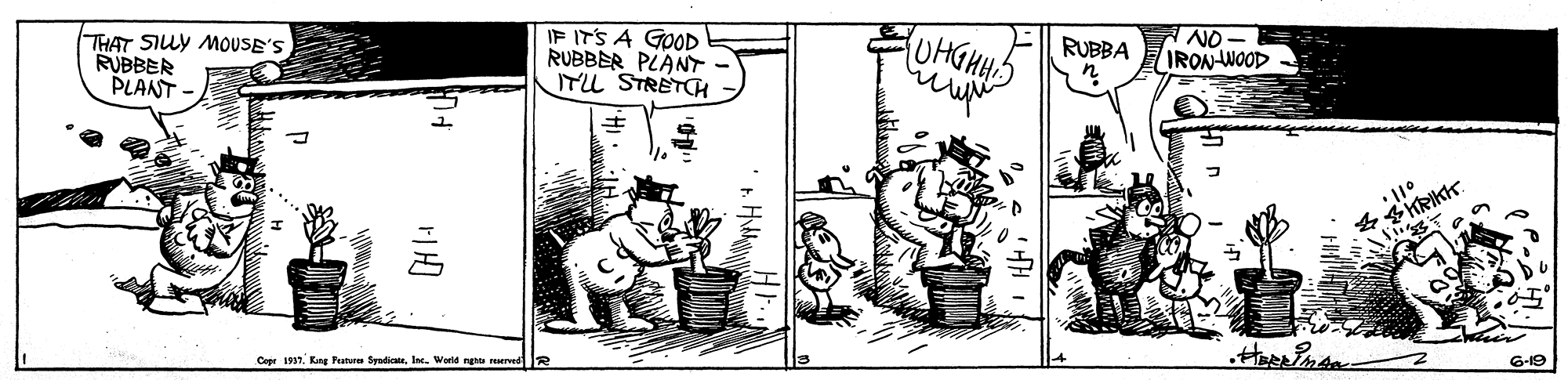 Parallel OCR: THAT SILY MOUSE'S RUBBER PLANT IF IT'S A GOOD RUBBER PLANT UHGHH NO- IRON WOOD RUBBA SKRIKK. Cer 1a17. Keor Putere fndiceWorid ngha rered R 6-19 THAT SILY MOUSE'S RUBBER PLANT IF IT'S A GOOD RUBBER PLANT UHGHH NO- IRON WOOD RUBBA SKRIKK. Cer 1a17. Keor Putere fndiceWorid ngha rered R 6-19