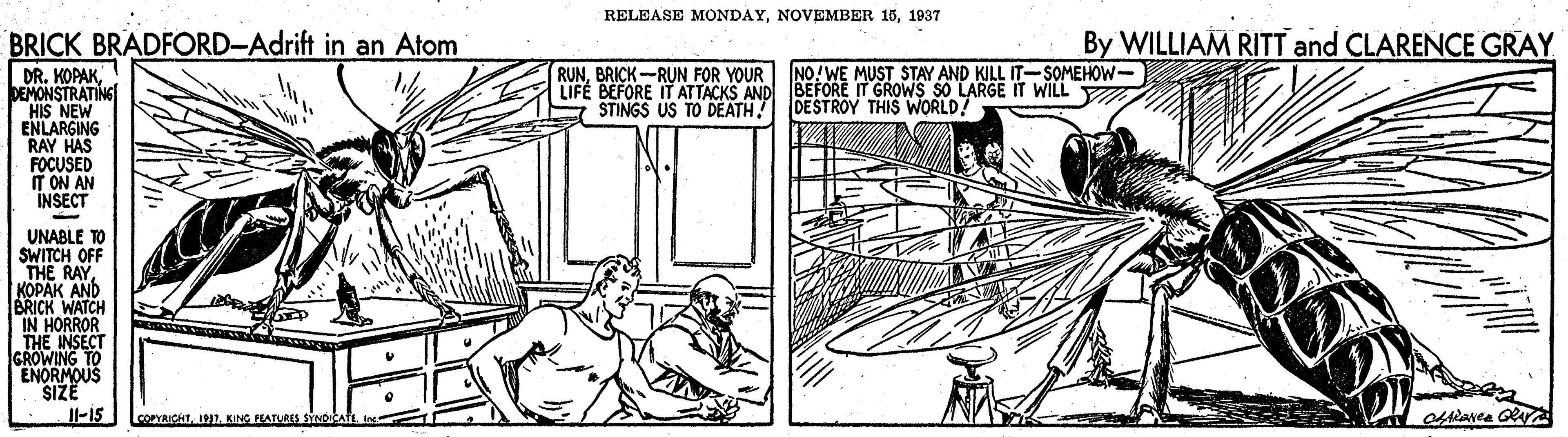 Working animal OCR: RELEASE MONDAY1937 By WILLIAM RITT and CLARENCE GRAY BRICK BRADFORD-Adrift in an Atom DR. KOPAKDEMONSTRATING HIS NEW ENLARGING RAY HAS FOCUSED IT ON AN INSECT LIFE BEFORE IT ATTACKS AND AFFORE UST STAY AND KILL IT-SOMEHOW- STINGS US TO DEATH DESTROY THIS WORLD? RUNBRICK-RUN FOR YOUR NO!WE IT GROWS SO LARGE IT WILL UNABLE TO SWITCH OFF THE RAY. KOPAK AND BRICK WATCH IN HORROR THE INSECT IGROWING TO ENORMOUS SIZE Il-i5 LoorRIchTKING PEATURES SYN RELEASE MONDAYNOVEMBER 151937 By WILLIAM RITT and CLARENCE GRAY BRICK BRADFORD-Adrift in an Atom DR. KOPAKDEMONSTRATING HIS NEW ENLARGING RAY HAS FOCUSED IT ON AN INSECT LIFE BEFORE IT ATTACKS AND AFFORE UST STAY AND KILL IT-SOMEHOW- STINGS US TO DEATH DESTROY THIS WORLD? RUNBRICK-RUN FOR YOUR NO!WE IT GROWS SO LARGE IT WILL UNABLE TO SWITCH OFF THE RAY. KOPAK AND BRICK WATCH IN HORROR THE INSECT IGROWING TO ENORMOUS SIZE Il-i5 LoorRIchTKING PEATURES SYN