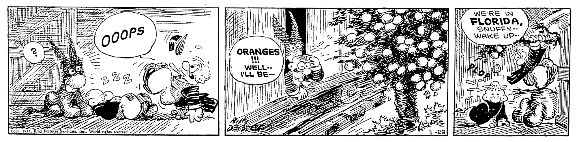 Pattern OCR: WE'RE IN 0OOPS FLORIDASNUFFY-- WAKE UP- ORANGES !!! WELL.. I'LL BE-- WE'RE IN 0OOPS FLORIDASNUFFY-- WAKE UP- ORANGES !!! WELL.. I'LL BE--