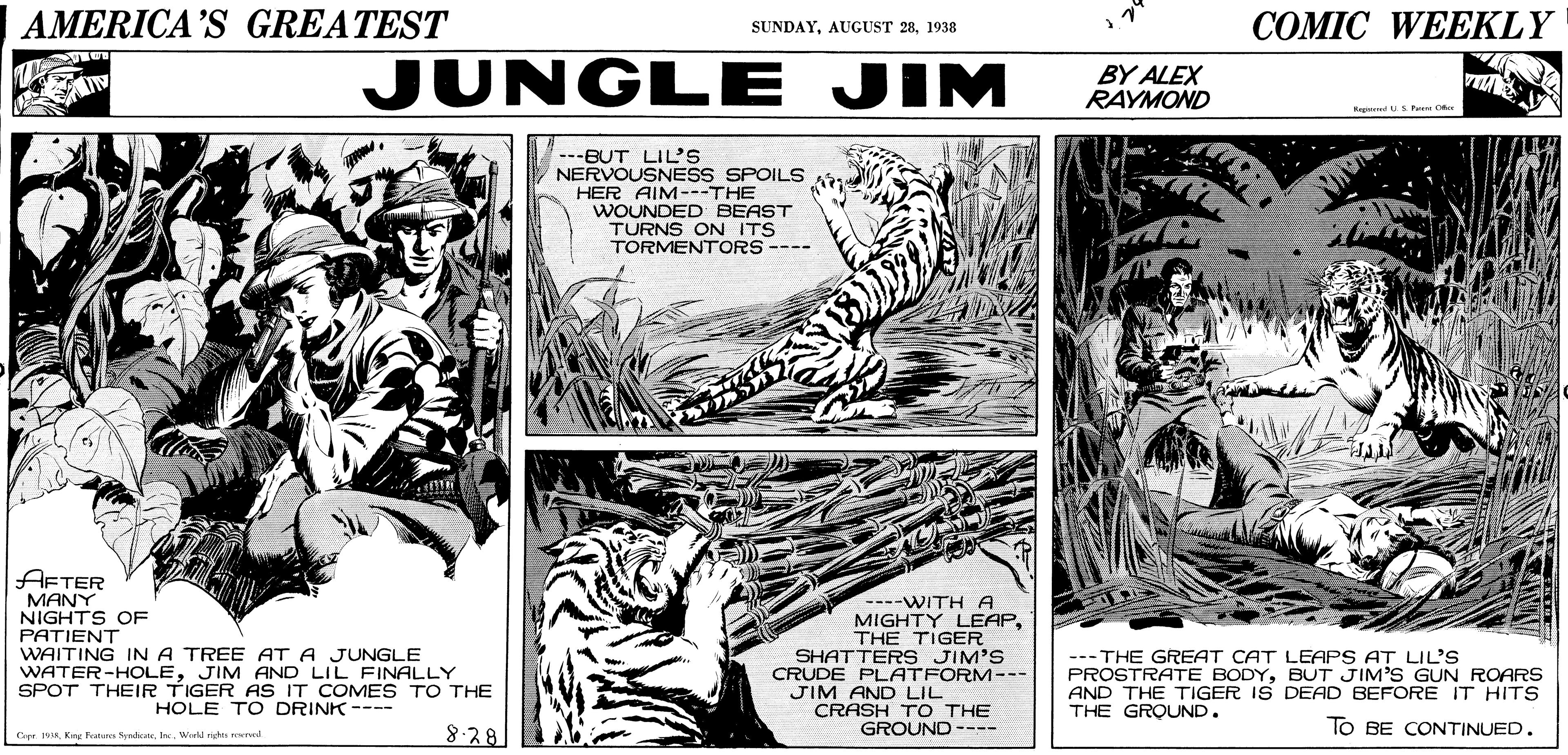 Fiction OCR: AMERICA'S GREATEST ?OMIC WEEKLY SUNDAY1938 JUNGLE JIM BY ALEX RAYMOND VI IN Repd U S P C ---BUT LIL'S NERVOUSNESS SPOILS HER AIM---THE WOUNDED BEAST TURNS ON ITS TORMENTORS ---- AFTER MANY NIGHTS OF PATIENT WAITING IN A TREE AT A JUNGLE WATER-HOLEJIM AND LIL FINALLY SPOT THEIR TIGER AS IT COMES TO THE ----WITH A MIGHTY LEAPTHE TIGER SHATTERs JIM'S CRUDE PLATFORM--- --- THE GREAT CAT LEAPS AT LIL'S PROSTRATE BODYBUT JIM'S GUN ROARS AND THE TIGER IS DEAD BEFORE IT HITS THE GROUND. JIM AND LIL HOLE TO DRINK ---- CRASH TO THE GROUND ---- To BE CONTINUED. 8.28 Gye IVWerkd rgh red AMERICA'S GREATEST ?OMIC WEEKLY SUNDAYAUGUST 281938 JUNGLE JIM BY ALEX RAYMOND VI IN Repd U S P C ---BUT LIL'S NERVOUSNESS SPOILS HER AIM---THE WOUNDED BEAST TURNS ON ITS TORMENTORS ---- AFTER MANY NIGHTS OF PATIENT WAITING IN A TREE AT A JUNGLE WATER-HOLEJIM AND LIL FINALLY SPOT THEIR TIGER AS IT COMES TO THE ----WITH A MIGHTY LEAPTHE TIGER SHATTERs JIM'S CRUDE PLATFORM--- --- THE GREAT CAT LEAPS AT LIL'S PROSTRATE BODYBUT JIM'S GUN ROARS AND THE TIGER IS DEAD BEFORE IT HITS THE GROUND. JIM AND LIL HOLE TO DRINK ---- CRASH TO THE GROUND ---- To BE CONTINUED. 8.28 Gye IVKng Fates kWerkd rgh red
