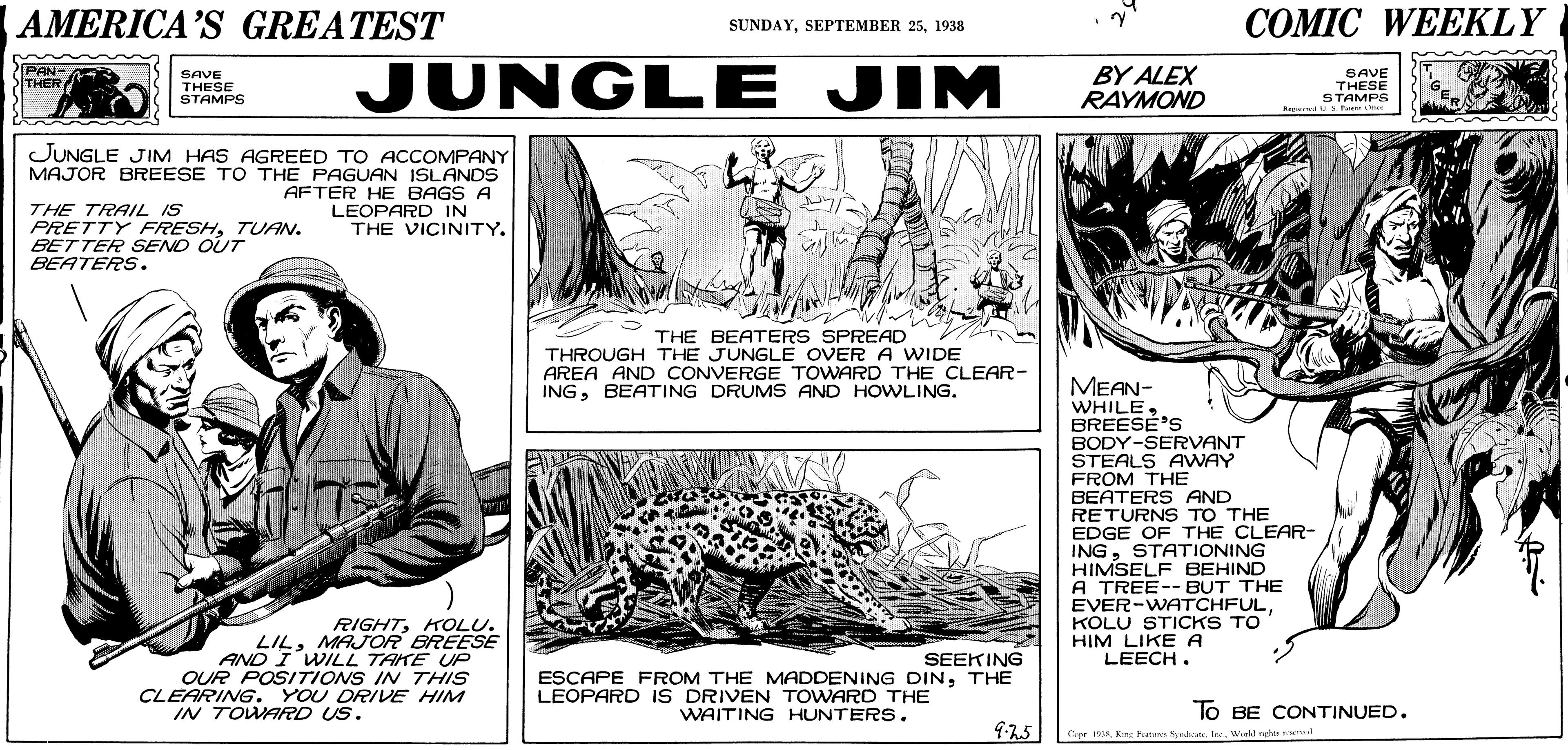 Line art OCR: AMERICA'S GREATEST COMIC WEEKLY SUNDAY1938 JUNGLE JIM BY ALEX RAYMOND PAN- THER SAVE THESE STAMPS SAVE THESE TPAMPS JUNGLE JIM HAS AGREED TO ACCOMPANY MAJOR BREESE TO THE PAGUAN ISLANDS AFTER HE BAGS A LEOPARD IN THE VICINITY. THE TRAIL IS PRETTY FRESHTUA. BETTER SEND OUT BEATERS. THE BEATERS SPREAD THROUGH THE JUNGLE OVER A WIDE AREA AND CONVERGE TOWARD THE CLEAR- INGBEATING DRUMS AND HOWLING. MEAN- WHILEBREESE'S BODY-SERVANT STEALS AWAY FROM THE BEATERS AND RETURNS TO THE EDGE OF THE CLEAR- INGSTATIONING HIMSELF BEHIND A TREE-- BUT THE EVER-WATCHFULKOLU STICKS TO HIM LIKE A LEECH. RIGHTKOLU. LILMAJOR BREESE SEEKING OUR POSITIONS IN THIS CLEARING. YOU DRIVE HIM IN TOWARD US. ESCAPE FROM THE MADDENING DINTHE LEOPARD IS DRIVEN TOWARD THE WAITING HUNTERS . To BE CONTINUED. Cepr 19Wld ngh trt AMERICA'S GREATEST COMIC WEEKLY SUNDAYSEPTEMBER 251938 JUNGLE JIM BY ALEX RAYMOND PAN- THER SAVE THESE STAMPS SAVE THESE TPAMPS JUNGLE JIM HAS AGREED TO ACCOMPANY MAJOR BREESE TO THE PAGUAN ISLANDS AFTER HE BAGS A LEOPARD IN THE VICINITY. THE TRAIL IS PRETTY FRESHTUA. BETTER SEND OUT BEATERS. THE BEATERS SPREAD THROUGH THE JUNGLE OVER A WIDE AREA AND CONVERGE TOWARD THE CLEAR- INGBEATING DRUMS AND HOWLING. MEAN- WHILEBREESE'S BODY-SERVANT STEALS AWAY FROM THE BEATERS AND RETURNS TO THE EDGE OF THE CLEAR- INGSTATIONING HIMSELF BEHIND A TREE-- BUT THE EVER-WATCHFULKOLU STICKS TO HIM LIKE A LEECH. RIGHTKOLU. LILMAJOR BREESE SEEKING OUR POSITIONS IN THIS CLEARING. YOU DRIVE HIM IN TOWARD US. ESCAPE FROM THE MADDENING DINTHE LEOPARD IS DRIVEN TOWARD THE WAITING HUNTERS . To BE CONTINUED. Cepr 19Ke kts Sydcatr. IneWld ngh trt