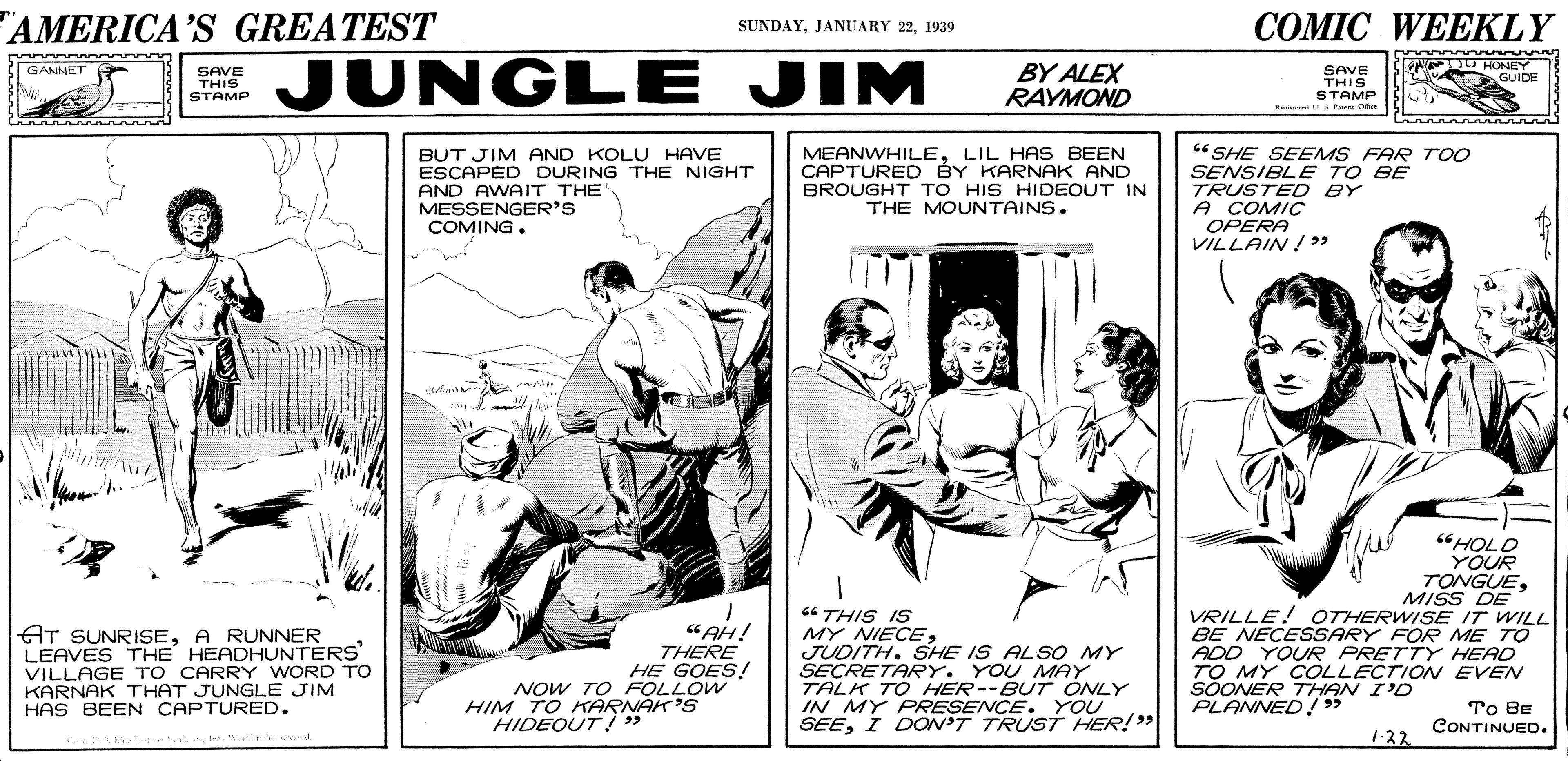 Fiction OCR: AMERICA'S GREATEST COMIC WEEKLY SUNDAY1939 JUNGLE JIM BY ALEX RAYMOND SAVE THIS STAMP N DWHONEY GUIDE GANNET SAVE THIS STAMP BUT JIM AND KOLU HAVE ESCAPED DURING THE NIGHT AND AWAIT THE MESSENGER'S COMING. MEANWHILELIL HAS BEEN CAPTURED BY KARNAK AND BROUGHT TO HIS HIDEOUT IN THE MOUNTAINS. “SHE SEEMS FAR TOO SENSIBLE TO BE TRUSTED BY A COMIC OPERA VILLAIN !» "HOLD YOUR TONGUEMISS DE VRILLE! OTHERWISE IT WILL BE NECESSARY FOR ME TO ADD YOUR PRETTY HEAD TO MY COLLECTION EVEN AT SUNRISEA RUNNER LEAVES THE HEADHUNTERS VILLAGE TO CARRY WORD TO KARNAK THAT JUNGLE JIM HAS BEEN CAPTURED. "AH! THERE HE GOES! NOW TO FOLLOW HIM TO KARNAK'S 66 THIS IS MY NIECEJUDITH. SHE IS ALSO MY SECRETARY. YOU MAY TALK TO HER--BUT ONLY IN MY PRESENCE. YOU SEEI DON'T TRUST HER!" SOONER THAN I'D PLANNED!5 To Be CONTINUED. HIDEOUT!" 1:22 AMERICA'S GREATEST COMIC WEEKLY SUNDAYJANUARY 221939 JUNGLE JIM BY ALEX RAYMOND SAVE THIS STAMP N DWHONEY GUIDE GANNET SAVE THIS STAMP BUT JIM AND KOLU HAVE ESCAPED DURING THE NIGHT AND AWAIT THE MESSENGER'S COMING. MEANWHILELIL HAS BEEN CAPTURED BY KARNAK AND BROUGHT TO HIS HIDEOUT IN THE MOUNTAINS. “SHE SEEMS FAR TOO SENSIBLE TO BE TRUSTED BY A COMIC OPERA VILLAIN !» "HOLD YOUR TONGUEMISS DE VRILLE! OTHERWISE IT WILL BE NECESSARY FOR ME TO ADD YOUR PRETTY HEAD TO MY COLLECTION EVEN AT SUNRISEA RUNNER LEAVES THE HEADHUNTERS VILLAGE TO CARRY WORD TO KARNAK THAT JUNGLE JIM HAS BEEN CAPTURED. "AH! THERE HE GOES! NOW TO FOLLOW HIM TO KARNAK'S 66 THIS IS MY NIECEJUDITH. SHE IS ALSO MY SECRETARY. YOU MAY TALK TO HER--BUT ONLY IN MY PRESENCE. YOU SEEI DON'T TRUST HER!" SOONER THAN I'D PLANNED!5 To Be CONTINUED. HIDEOUT!" 1:22