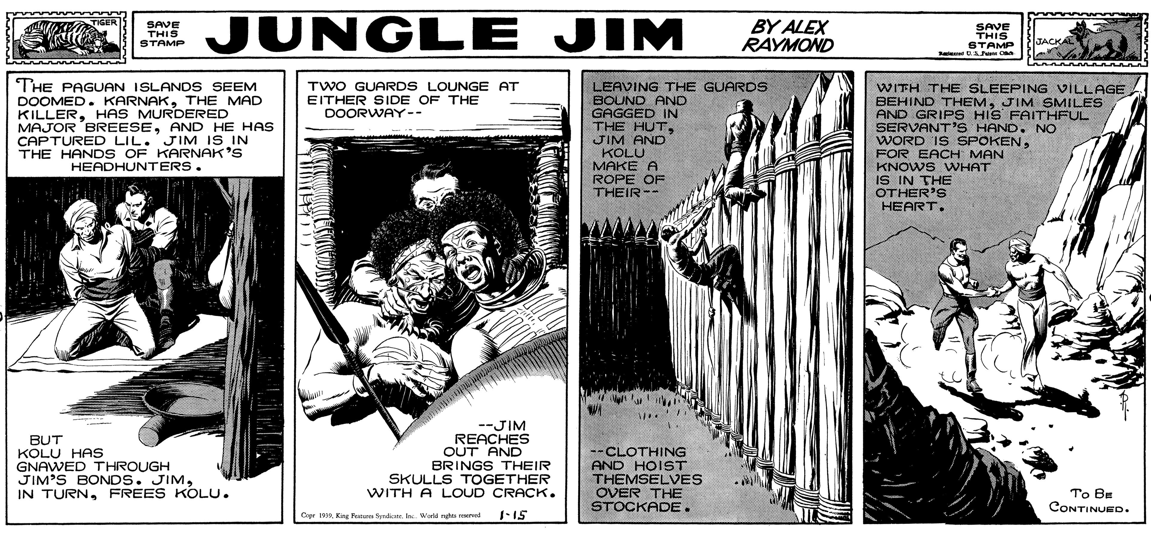 Fiction OCR: JIM BY ALEX RAYMOND TIGER SAVE THIS STAMP SAVE THIS STAMP JACKAL TWO GUARDS LOUNGE AT THE PAGUAN ISLANDS SEEM DOOMED. KARNAKTHE MAD KILLERHAS MURDERED MAJOR BREESEAND HE HAS CAPTURED LIL. JIM IS IN THE HANDS OF KARNAK'S HEADHUNTERS. LEAVING THE GUARDS BOUND AND GAGGED IN THE HUTJIM AND KOLU MAKE A ROPE OF THEIR-- WITH THE SLEEPING VILLAGE BEHIND THEMJIM SMILES AND GRIPS HIS FAITHFUL SERVANT'S HAND. No WORD IS SPOKENFOR EACH MAN KNOWS WHAT IS IN THE OTHER'S HEART. EITHER SIDE OF THE DOORWAY-- BUT KOLU HAs GNAWED THROUGH JIM'S BONDS. JIMFREES KOLU. --JIM REACHES OUT AND BRINGS THEIR SKULLS TOGETHER WITH A LOUD CRACK. --CLOTHING AND HOIST THEMSELVES OVER THE STOCKADE. To Be CONTINUED. Copr 19King Feateren Syndicre. Inc. World nghts reered 1-15 JIM BY ALEX RAYMOND TIGER SAVE THIS STAMP SAVE THIS STAMP JACKAL TWO GUARDS LOUNGE AT THE PAGUAN ISLANDS SEEM DOOMED. KARNAKTHE MAD KILLERHAS MURDERED MAJOR BREESEAND HE HAS CAPTURED LIL. JIM IS IN THE HANDS OF KARNAK'S HEADHUNTERS. LEAVING THE GUARDS BOUND AND GAGGED IN THE HUTJIM AND KOLU MAKE A ROPE OF THEIR-- WITH THE SLEEPING VILLAGE BEHIND THEMJIM SMILES AND GRIPS HIS FAITHFUL SERVANT'S HAND. No WORD IS SPOKENFOR EACH MAN KNOWS WHAT IS IN THE OTHER'S HEART. EITHER SIDE OF THE DOORWAY-- BUT KOLU HAs GNAWED THROUGH JIM'S BONDS. JIMIN TURNFREES KOLU. --JIM REACHES OUT AND BRINGS THEIR SKULLS TOGETHER WITH A LOUD CRACK. --CLOTHING AND HOIST THEMSELVES OVER THE STOCKADE. To Be CONTINUED. Copr 19King Feateren Syndicre. Inc. World nghts reered 1-15