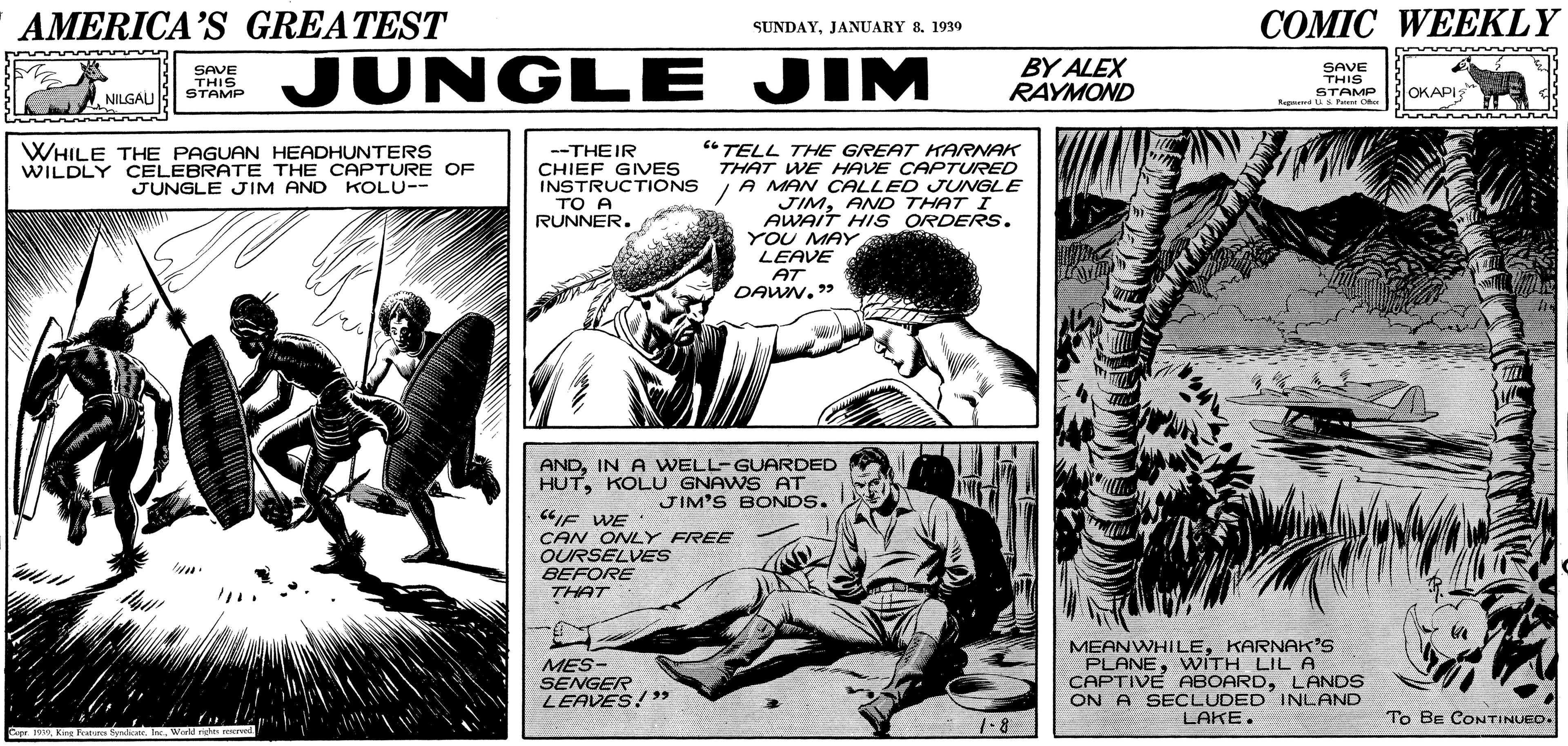 Line OCR: AMERICA’S GREATEST COMIC WEEKLY SUNDAYJANUARY 8. 1930 SAVE THIS STAMP a JUNGLE JIM JIM BY ALEX RAYMOND SAVE THIS STAMP OKAPI NILGAU Kep u P C " TELL THE GREAT KARNAK THAT WE HAVE CAPTURED A MAN CALLED JUNGLE JIMAND THAT I AWAIT HIS ORDERS. YOU MAY LEAVE AT DAWN. " WHILE THE PAGUAN HEADHUNTERS WILDLY CELEBRATE THE CAPTURE OF JUNGLE JIM AND KOLU-- --THEIR CHIEF GVES INSTRUCTIONS TO A RUNNER. ANDIN A WELL-GUARDED HUTKOLU GNAWS AT JIM'S BONDS. C6E WE CAN ONLY FREE OURSELVES BEFORE THAT MES- SENGER LEAVES!39 MEANWHILEKARNAK'S PLANEWÍTH LIL A CAPTIVE ABOARDLANDS ON A SECLUDED INLAND LAKE. To BE CONTINUED. Capr 19Werld es ereed AMERICA’S GREATEST COMIC WEEKLY SUNDAYJANUARY 8. 1930 SAVE THIS STAMP a JUNGLE JIM JIM BY ALEX RAYMOND SAVE THIS STAMP OKAPI NILGAU Kep u P C " TELL THE GREAT KARNAK THAT WE HAVE CAPTURED A MAN CALLED JUNGLE JIMAND THAT I AWAIT HIS ORDERS. YOU MAY LEAVE AT DAWN. " WHILE THE PAGUAN HEADHUNTERS WILDLY CELEBRATE THE CAPTURE OF JUNGLE JIM AND KOLU-- --THEIR CHIEF GVES INSTRUCTIONS TO A RUNNER. ANDIN A WELL-GUARDED HUTKOLU GNAWS AT JIM'S BONDS. C6E WE CAN ONLY FREE OURSELVES BEFORE THAT MES- SENGER LEAVES!39 MEANWHILEKARNAK'S PLANEWÍTH LIL A CAPTIVE ABOARDLANDS ON A SECLUDED INLAND LAKE. To BE CONTINUED. Capr 19Kng ywa InWerld es ereed