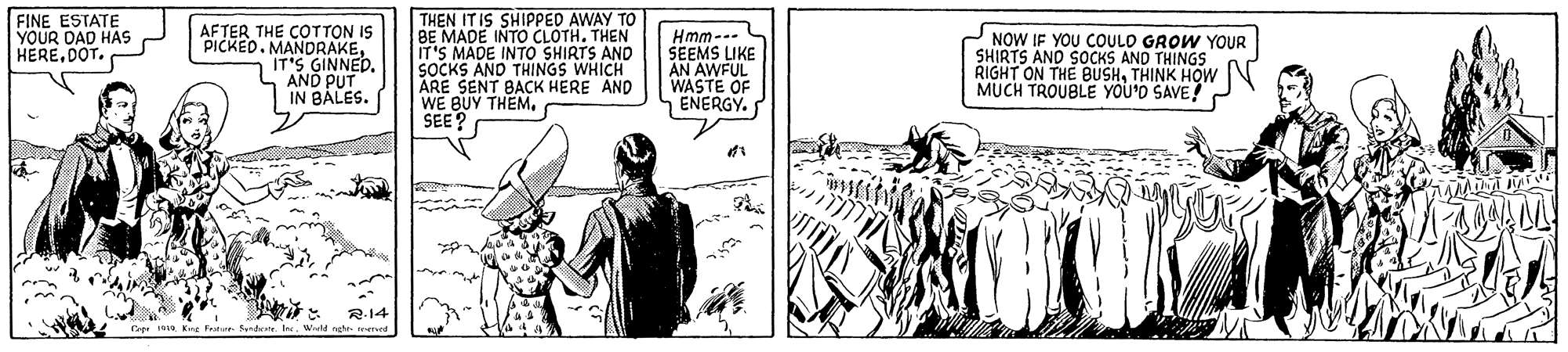 Fictional character OCR: THEN IT IS SHIPPED AWAY TO BE MADE INTO CLOTH. THEN IT'S MADE INTO SHIRTS AND SOCKS AND THINGS WHICH ARE SENT BACK HERE AND WE BUY THEMSEE? FINE ESTATE YOUR DAD HAS HERE. DOT. AFTER THE COTTON IS PICKED. MANDRAKEIT'S GINNED. AND PUT IN BÁLES. Hmm--- SEEMS LIKE AN AWFUL WASTE OF ENERGY. NOW IF YOU COULD GROW YOUR SHIRTS AND SOCKS AND THINGS RIGHT ON THE BUSHTHINK HOW MUCH TROUBLE YOU'O SAVE! Frature. SantrW THEN IT IS SHIPPED AWAY TO BE MADE INTO CLOTH. THEN IT'S MADE INTO SHIRTS AND SOCKS AND THINGS WHICH ARE SENT BACK HERE AND WE BUY THEMSEE? FINE ESTATE YOUR DAD HAS HERE. DOT. AFTER THE COTTON IS PICKED. MANDRAKEIT'S GINNED. AND PUT IN BÁLES. Hmm--- SEEMS LIKE AN AWFUL WASTE OF ENERGY. NOW IF YOU COULD GROW YOUR SHIRTS AND SOCKS AND THINGS RIGHT ON THE BUSHTHINK HOW MUCH TROUBLE YOU'O SAVE! Frature. Santr