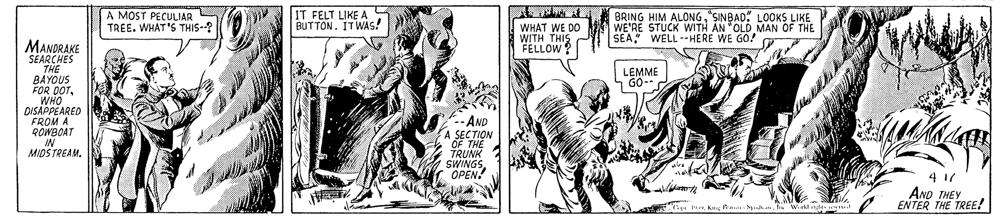 Drawing OCR: A MOST PECULIAR TREE. WHAT'S THIS--? IT FELT LIKE A S BUTTON. ITWAS! WHAT WE DO WITH THIS FELLOW BRING HIM ALONG"SINBAD" LOOKS LIKE WE'RE STUCK WITH AN "OLD MAN OF THE SEA" WELL--HERE WE GO! MANDRAKE SEARCHES THE BAYOUS FOR DOTWHO DISAPPEARED FROM A ROWBOAT LEMME GO-- -AND A SECTION OF THE TRUNK SWINGS OPEN. MIDSTREAMAND THEY ENTER THE TREE! A MOST PECULIAR TREE. WHAT'S THIS--? IT FELT LIKE A S BUTTON. ITWAS! WHAT WE DO WITH THIS FELLOW BRING HIM ALONG"SINBAD" LOOKS LIKE WE'RE STUCK WITH AN "OLD MAN OF THE SEA" WELL--HERE WE GO! MANDRAKE SEARCHES THE BAYOUS FOR DOTWHO DISAPPEARED FROM A ROWBOAT LEMME GO-- -AND A SECTION OF THE TRUNK SWINGS OPEN. MIDSTREAMAND THEY ENTER THE TREE!