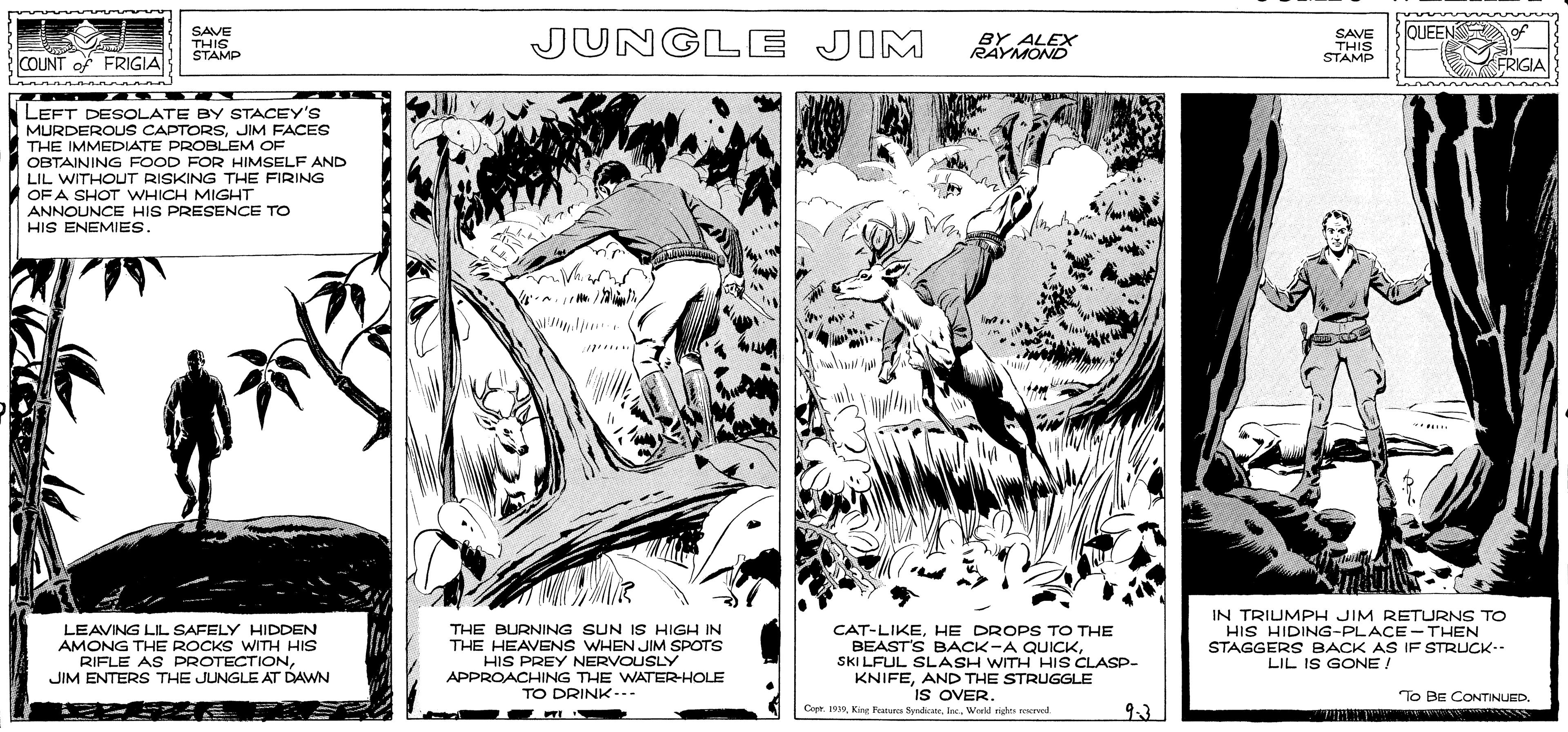 Terrestrial plant OCR: QUEEN SAVE THIS STAMP JUNGLE JIM BY ALEX RAYMOND SAVE THIS STAMP COUNT of FRIGIA FRIGIA LEFT DESOLATE BY STACEY'S MURDEROUS CAPTORSJIM FACES THE IMMEDIATE PROBLEM OF OBTAINING FOOD FOR HIMSELF AND LIL WITHOUT RISKING THE FIRING OF A SHOT WHICH MIGHT ANNOUNCE HIS PRESENCE TO HIS ENEMIES. LEAVING LIL SAFELY HIDDEN AMONG THE ROCKS WITH HIS RIFLE AS PROTECTIONJIM ENTERS THE JUNGLE AT DAWN THE BURNING SUN IS HIGH IN THE HEAVENS WHEN JIM SPOTS HIS PREY NERVOUSLY APPROACHING THE WATER-HOLE TO DRINK... CAT-LIKEHE DROPS TO THE BEAST'S BACK-A QUICKSKI LFUL SLASH WITH HIS CLASP- KNIFEAND THE STRUGGLE IS OVER. IN TRIUMPH JIM RETURNS TO HIS HIDING-PLACE-THEN STAGGERS BACK AS IF STRUCK-- LIL IS GONE/ To BE CONTINUED. Cepr. 193Workd nghs reerved 93 QUEEN SAVE THIS STAMP JUNGLE JIM BY ALEX RAYMOND SAVE THIS STAMP COUNT of FRIGIA FRIGIA LEFT DESOLATE BY STACEY'S MURDEROUS CAPTORSJIM FACES THE IMMEDIATE PROBLEM OF OBTAINING FOOD FOR HIMSELF AND LIL WITHOUT RISKING THE FIRING OF A SHOT WHICH MIGHT ANNOUNCE HIS PRESENCE TO HIS ENEMIES. LEAVING LIL SAFELY HIDDEN AMONG THE ROCKS WITH HIS RIFLE AS PROTECTIONJIM ENTERS THE JUNGLE AT DAWN THE BURNING SUN IS HIGH IN THE HEAVENS WHEN JIM SPOTS HIS PREY NERVOUSLY APPROACHING THE WATER-HOLE TO DRINK... CAT-LIKEHE DROPS TO THE BEAST'S BACK-A QUICKSKI LFUL SLASH WITH HIS CLASP- KNIFEAND THE STRUGGLE IS OVER. IN TRIUMPH JIM RETURNS TO HIS HIDING-PLACE-THEN STAGGERS BACK AS IF STRUCK-- LIL IS GONE/ To BE CONTINUED. Cepr. 193Kine Festu fyndcWorkd nghs reerved 93