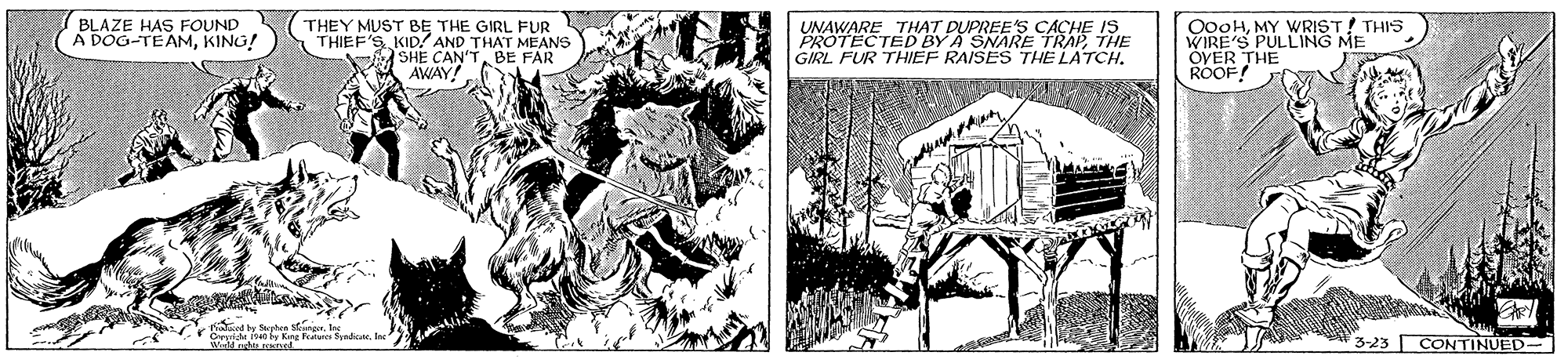 Line art OCR: UNAWARE THAT DUPREE'S CACHE IS PROTECTED BY A SNARE TRAPTHE GIRL FUR THIEF RAISES THE LATCH. OooHMY WRIST! THIS WIRE'S PULLING ME OVER THE ROOF! BLAZE HAS FOUND A DOG-TEAMKING! THEY MUST BE THE GIRL FUR THIEF'S KID! AND THAT MEANS SHE CAN'TBE FAR AWAY! r d be Sertea stureefo Gentdn15an by King rc 3-23 CONTINUED- UNAWARE THAT DUPREE'S CACHE IS PROTECTED BY A SNARE TRAPTHE GIRL FUR THIEF RAISES THE LATCH. OooHMY WRIST! THIS WIRE'S PULLING ME OVER THE ROOF! BLAZE HAS FOUND A DOG-TEAMKING! THEY MUST BE THE GIRL FUR THIEF'S KID! AND THAT MEANS SHE CAN'TBE FAR AWAY! r d be Sertea stureefo Gentdn15an by King rc 3-23 CONTINUED-