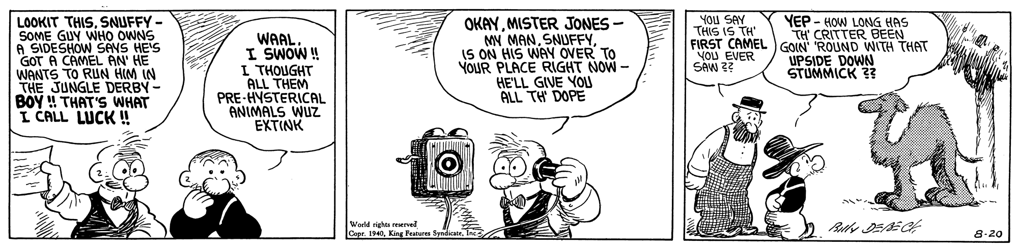 Illustration OCR: OKAYMISTER JONES - MY MANIS ON HIS WAY OVER TO YOUR PLACE RIGHT NOW - HE'LL GIVE YOU ALL TH DOPE YOU SAY THIS IS TH' FIRST CAMELGOIN ROUND WITH THAT YOU EVER SAW ?? YEP - HOW LONG HAS TH' CRITTER BEEN LOOKIT THISSNUFFY- SOME GUY WH? OWNS A SIDESHOW SAYS HE'S GOT A CAMEL AN' HE WANTS TO RUN HIM IN THE JUNGLE DERBY- BOY ! THAT'S WHAT I CALL LUCK ! WAAL. I SWOW ! I THOUGHT ALL THEM PRE-HYSTERICAL ANIMALS WUZ EXTINK UPSIDE DOWN STUMMICK ?? World rights reserved Copr. 19408-20 OKAYMISTER JONES - MY MANIS ON HIS WAY OVER TO YOUR PLACE RIGHT NOW - HE'LL GIVE YOU ALL TH DOPE YOU SAY THIS IS TH' FIRST CAMELGOIN ROUND WITH THAT YOU EVER SAW ?? YEP - HOW LONG HAS TH' CRITTER BEEN LOOKIT THISSNUFFY- SOME GUY WH? OWNS A SIDESHOW SAYS HE'S GOT A CAMEL AN' HE WANTS TO RUN HIM IN THE JUNGLE DERBY- BOY ! THAT'S WHAT I CALL LUCK ! WAAL. I SWOW ! I THOUGHT ALL THEM PRE-HYSTERICAL ANIMALS WUZ EXTINK UPSIDE DOWN STUMMICK ?? World rights reserved Copr. 1940King Features Sydicate