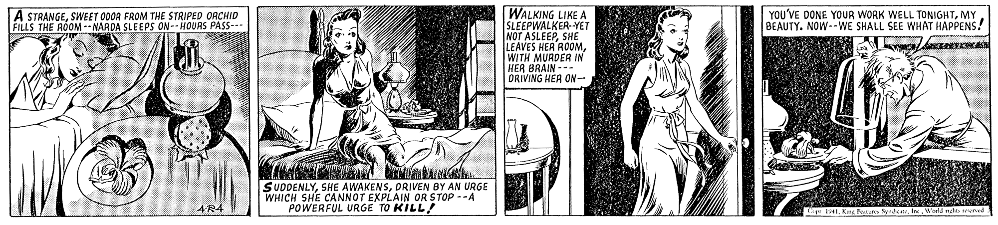 Line OCR: WALKING LIKE A SLEEPWALKER-YET NOT ASLEEPSHE LEAVES HER ROOMWITH MURDER IN HER BRAIN --- DRIVING HER ON- A STRANGESWEET ODOR FROM THE STRIPED ORCHID FILLS THE ROM--NARDA SLEEPS ON--HOURS PASS-- YOU'VE DONE YOUR WORK WELL TONIGHTMY BEAUTY. NOW--WE SHALL SEE WHAT HAPPENS! SUDDENLYDRIVEN BY AN URGE WHICH SHE CANNOT EXPLAIN OR STOP --A POWERFUL URGE TO KILL! 4R4 Cpr 1941Kg Peature y WALKING LIKE A SLEEPWALKER-YET NOT ASLEEPSHE LEAVES HER ROOMWITH MURDER IN HER BRAIN --- DRIVING HER ON- A STRANGESWEET ODOR FROM THE STRIPED ORCHID FILLS THE ROM--NARDA SLEEPS ON--HOURS PASS-- YOU'VE DONE YOUR WORK WELL TONIGHTMY BEAUTY. NOW--WE SHALL SEE WHAT HAPPENS! SUDDENLYSHE AWAKENSDRIVEN BY AN URGE WHICH SHE CANNOT EXPLAIN OR STOP --A POWERFUL URGE TO KILL! 4R4 Cpr 1941Kg Peature y