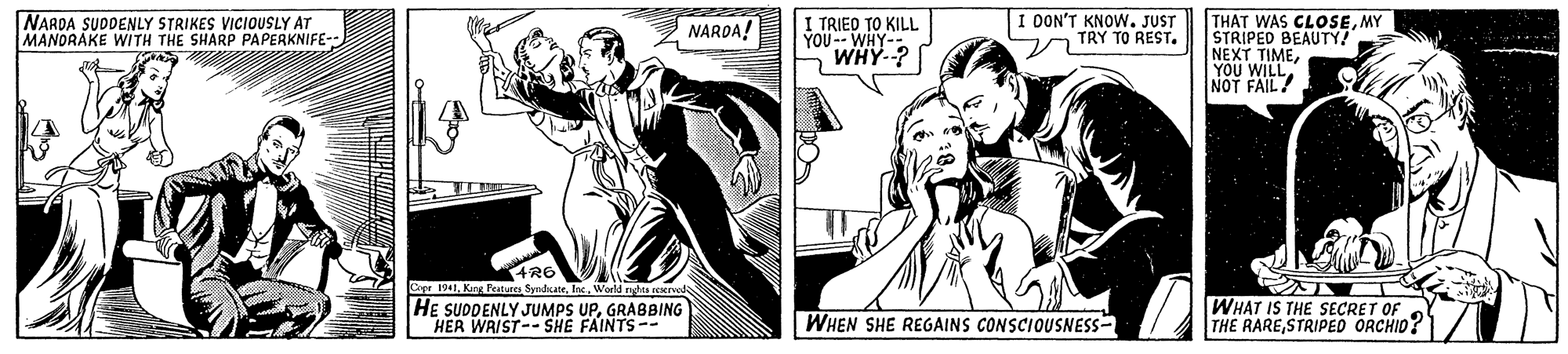 Publication OCR: I TRIED TO KILL YOU-- WHY- WHY-? I DON'T KNOW. JUST TRY TO REST. THAT WAS CLOSEMY STRIPED BEAUTY! NEXT TIMEYOU WILL NOT FAIL! NARDA SUDDENLY STRIKES VICIOUSLY AT MANORAKE WITH THE SHARP PAPERKNIFE-- NARDA! Cer 1941World nyhaa aved HE SUDDENLY JUMPS UPGRABBING HER WRIST-- SHE FAINTS-- WHAT IS THE SECRET OF THE RARESTRIPED ORCHID? WHEN SHE REGAINS CONSCIOUSNESS- I TRIED TO KILL YOU-- WHY- WHY-? I DON'T KNOW. JUST TRY TO REST. THAT WAS CLOSEMY STRIPED BEAUTY! NEXT TIMEYOU WILL NOT FAIL! NARDA SUDDENLY STRIKES VICIOUSLY AT MANORAKE WITH THE SHARP PAPERKNIFE-- NARDA! Cer 1941King Petes SyndcateWorld nyhaa aved HE SUDDENLY JUMPS UPGRABBING HER WRIST-- SHE FAINTS-- WHAT IS THE SECRET OF THE RARESTRIPED ORCHID? WHEN SHE REGAINS CONSCIOUSNESS-