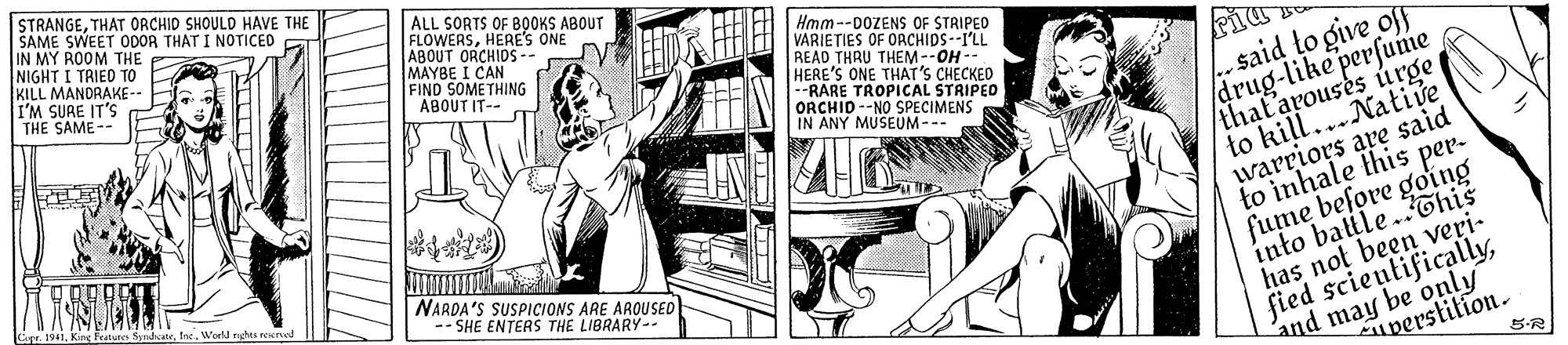 Illustration OCR: STRANGETHAT ORCHID SHOULD HAVE THE SAME SWEET ODOR THAT I NOTICED IN MY ROOM THE NIGHT I TRIED TO KILL MANDRAKE- I'M SUAE IT'S THE SAME-- ALL SORTS OF BOOKS ABOUT FLOWERSHERES ONE ABOUT ORCHIOS-- MAYBE I CAN FIND SOME THING ABOUT IT-- Hmm--DOZENS OF STRIPED VARIETIES OF OACHIDS--I'LL READ THRU THEM--OH -- HERE'S ONE THAT'S CHECKED -RARE TROPICAL STRIPED ORCHID --NO SPECIMENS IN ANY MUSEUM-- said to give off drug-like perfume that'arouses úrge to kill...Native warriors are said to inhale this per- into battle.This has not been veri- fume before going Cer. 1941World nghes renel NARDA'S SUSPICIONS ARE AROUSED -- SHE ENTERS THE LIBRARY- fied scieutificallyand may be only uperstilion. 5-R STRANGETHAT ORCHID SHOULD HAVE THE SAME SWEET ODOR THAT I NOTICED IN MY ROOM THE NIGHT I TRIED TO KILL MANDRAKE- I'M SUAE IT'S THE SAME-- ALL SORTS OF BOOKS ABOUT FLOWERSHERES ONE ABOUT ORCHIOS-- MAYBE I CAN FIND SOME THING ABOUT IT-- Hmm--DOZENS OF STRIPED VARIETIES OF OACHIDS--I'LL READ THRU THEM--OH -- HERE'S ONE THAT'S CHECKED -RARE TROPICAL STRIPED ORCHID --NO SPECIMENS IN ANY MUSEUM-- said to give off drug-like perfume that'arouses úrge to kill...Native warriors are said to inhale this per- into battle.This has not been veri- fume before going Cer. 1941King features SyrnhaneWorld nghes renel NARDA'S SUSPICIONS ARE AROUSED -- SHE ENTERS THE LIBRARY- fied scieutificallyand may be only uperstilion. 5-R