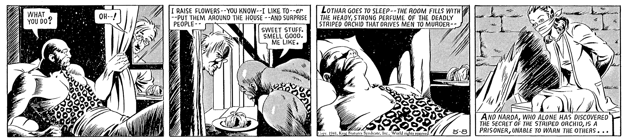 Newspaper OCR: WHAT YOU DO? I RAISE FLOWERS --YOU KNOW--I LIKE TO--er --PUT THEM AROUND THE HOUSE --AND SURPRISE PEOPLE-- LOTHAR GOES TO SLEEP--THE ROOM FILLS WITH THE HEADYSTRONG PERFUME OF THE DEADLY STRIPED ORCHID THAT DRIVES MEN TO MURDER- OH--! SWEET STUFF. SMELL GOOD. ME LIKE. AND NARDAWHO ALONE HAS DISCOVERED THE SECRET OF THE STRIPED ORCHIOIS A PRISONERUNABLE TO WARN THE OTHERS... B-8 apr. 1941. Feutures SphaWHAT YOU DO? I RAISE FLOWERS --YOU KNOW--I LIKE TO--er --PUT THEM AROUND THE HOUSE --AND SURPRISE PEOPLE-- LOTHAR GOES TO SLEEP--THE ROOM FILLS WITH THE HEADYSTRONG PERFUME OF THE DEADLY STRIPED ORCHID THAT DRIVES MEN TO MURDER- OH--! SWEET STUFF. SMELL GOOD. ME LIKE. AND NARDAWHO ALONE HAS DISCOVERED THE SECRET OF THE STRIPED ORCHIOIS A PRISONERUNABLE TO WARN THE OTHERS... B-8 apr. 1941. Feutures Spha