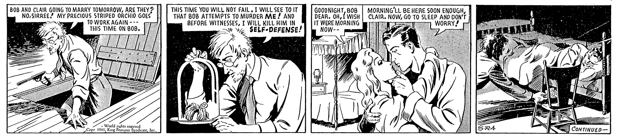 Publication OCR: BOB AND CLAIR GOING TO MARAY TOMORROWARE THEY? NO. SIRREE! MY PRECIOUS STRIPED ORCHIO TO WORK AGAIN --- THIS TIME ON B0B. THIS TIME YOU WILL NOT FAIL.I WILL SEE TO IT THAT BOB ATTEMPTS TO MURDER ME ! AND BEFORE WITNESSESI WILL KILL HIM IN * SELF-DEFENSE! GOODNIGHTGO TO SLEEP AND DON'T IT WERE MOANING NOW-- WORRY! World pets d eches reve Cope 1941. K SR4 CONTINUED- BOB AND CLAIR GOING TO MARAY TOMORROWARE THEY? NO. SIRREE! MY PRECIOUS STRIPED ORCHIO TO WORK AGAIN --- THIS TIME ON B0B. THIS TIME YOU WILL NOT FAIL.I WILL SEE TO IT THAT BOB ATTEMPTS TO MURDER ME ! AND BEFORE WITNESSESI WILL KILL HIM IN * SELF-DEFENSE! GOODNIGHTB08 MORNING'LL BE HERE SOON ENOUGHDEAR. OHI WISH CLAIR. NOWGO TO SLEEP AND DON'T IT WERE MOANING NOW-- WORRY! World pets d eches reve Cope 1941. K SR4 CONTINUED-