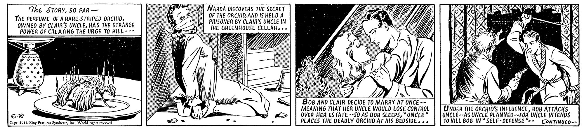 Publication OCR: The STORYSO FAR THE PERFUME OF A RAREHAS THE STRANGE POWER OF CREATING THE URGE TO KILL - NARDA DISCOVERS THE SECRET OF THE ORCHIDAND IS HELD A PRISONER BY CLAIR'S UNCLE IN THE GREENHOUSE CELLAR... BOB AND CLAIR DECIDE TO MARAY AT ONCE -- MEANING THAT HER UNCLE WOULD LOSE CONTROL OVER HER ESTATE --SO AS BOB SLEEPS* UNCLE" PLACES THE DEAOLY ORCHID AT HIS BEDSIDE... UNDER THE ORCHID'S INFLUENCEB0B ATTACKS UNCLE--AS UNCLE PLANNED--FOR UNCLE INTENDS TO KILL BOB IN " SELF-DEFENSE "-- CONTINUED- 6-R Capt 141Inc. Word rgis reerved The STORYSO FAR THE PERFUME OF A RARESTAIPED ORCHIDOWNED BY CLAIR'S UNCLEHAS THE STRANGE POWER OF CREATING THE URGE TO KILL - NARDA DISCOVERS THE SECRET OF THE ORCHIDAND IS HELD A PRISONER BY CLAIR'S UNCLE IN THE GREENHOUSE CELLAR... BOB AND CLAIR DECIDE TO MARAY AT ONCE -- MEANING THAT HER UNCLE WOULD LOSE CONTROL OVER HER ESTATE --SO AS BOB SLEEPS* UNCLE" PLACES THE DEAOLY ORCHID AT HIS BEDSIDE... UNDER THE ORCHID'S INFLUENCEB0B ATTACKS UNCLE--AS UNCLE PLANNED--FOR UNCLE INTENDS TO KILL BOB IN " SELF-DEFENSE "-- CONTINUED- 6-R Capt 141King Pratures SyndicateInc. Word rgis reerved