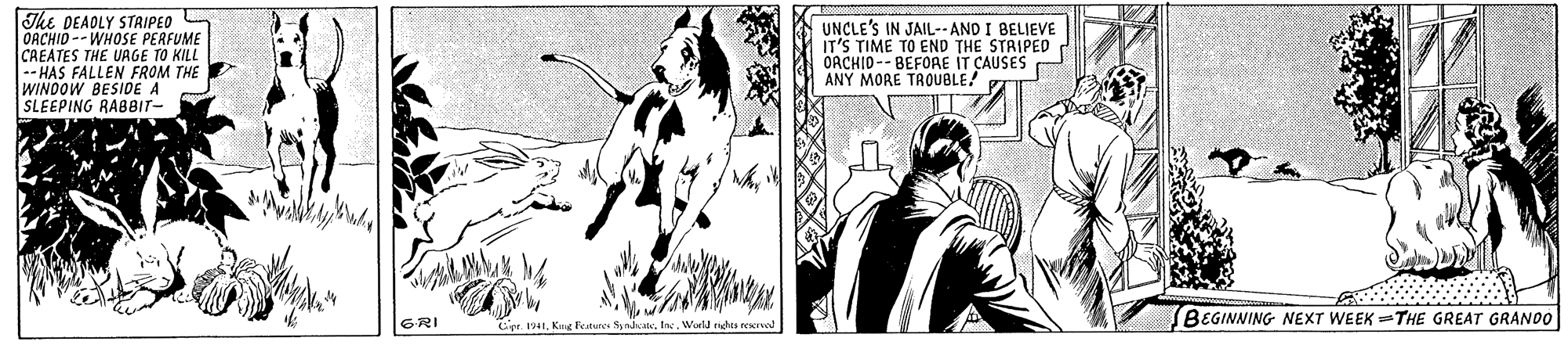 Monochrome OCR: The DEAOLY STRIPEO OACHID--WHOSE PERFUME CAEATES THE UAGE TO KILL -- HAS FALLEN FROM THE WINDOW BESIDE A SLEEPING RABBIT- UNCLE'S IN JAIL-AND I BELIEVE IT'S TIME TO END THE STRIPED OACHID-- BEFOAE IT CAUSES ANY MORE TROUBLE! (BEGINNING NEXT WEEK =THE GREAT GRANDO GRI Cpr. 1941Wirld ndes rero The DEAOLY STRIPEO OACHID--WHOSE PERFUME CAEATES THE UAGE TO KILL -- HAS FALLEN FROM THE WINDOW BESIDE A SLEEPING RABBIT- UNCLE'S IN JAIL-AND I BELIEVE IT'S TIME TO END THE STRIPED OACHID-- BEFOAE IT CAUSES ANY MORE TROUBLE! (BEGINNING NEXT WEEK =THE GREAT GRANDO GRI Cpr. 1941Kug Featunes SynhcatWirld ndes rero