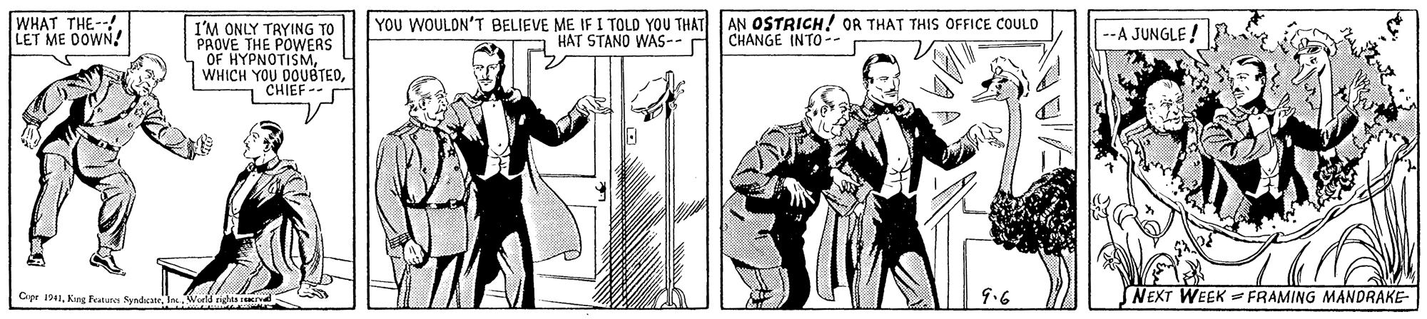 Illustration OCR: WHAT THE--! LET ME DOWN! YOU WOULON'T BELIEVE ME IF I TOLD YOU THAT HAT STANO WAS-- AN OSTRICH! OR THAT THIS OFFICE COULD CHANGE INTO-- I'M ONLY TRYING TO PROVE THE POWERS OF HYPNOTISMCHIEF --A JUNGLE ! Cipr 1941IncWoeld riglas 9.6 NEXT WEEK FRAMING MANDRAKE- WHAT THE--! LET ME DOWN! YOU WOULON'T BELIEVE ME IF I TOLD YOU THAT HAT STANO WAS-- AN OSTRICH! OR THAT THIS OFFICE COULD CHANGE INTO-- I'M ONLY TRYING TO PROVE THE POWERS OF HYPNOTISMWHICH YOU DOUBTEDCHIEF --A JUNGLE ! Cipr 1941King Fatune SyndcateIncWoeld riglas 9.6 NEXT WEEK FRAMING MANDRAKE-