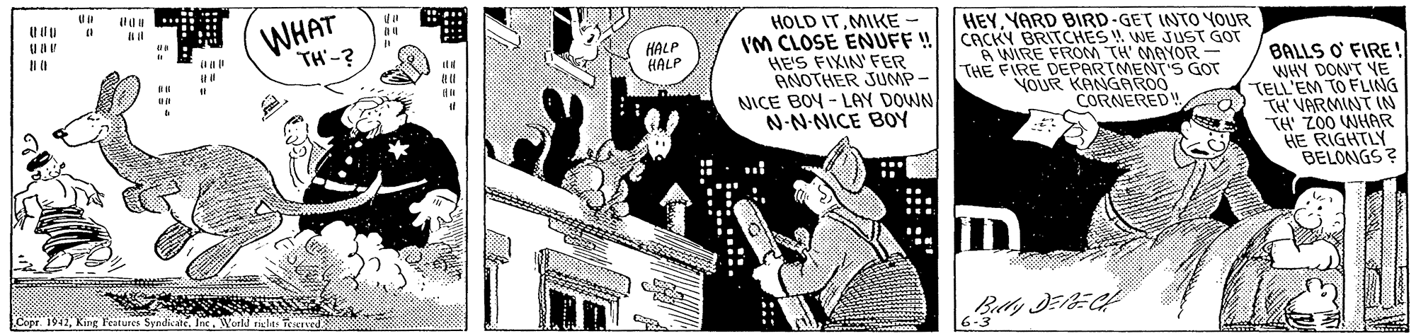 Fictional character OCR: WHAT HOLD ITMIKE - VM CLOSE ENUFF ! CACKN BRITCHES ! WE JUST GOT HE'S FIXIN' FER ANOTHER JUMP- NICE BOY - LAY DOWN N-N-NICE BOY HEYYARD BIRD-GET INTO YOUR TH-? HALP HALP A WIRE FROM TH MAYOR THE FIRE DEPARTMENT'S GOT VOUR KANGAROO CORNERED! BALLS O' FIRE ! WHY DON'T YE TELL'EM TO FLING TH' VARMINT IN TH' Z00 WHAR HE RIGHTLY BELONGS? Copr 1942. King l'eatures Syndica WHAT HOLD ITMIKE - VM CLOSE ENUFF ! CACKN BRITCHES ! WE JUST GOT HE'S FIXIN' FER ANOTHER JUMP- NICE BOY - LAY DOWN N-N-NICE BOY HEYYARD BIRD-GET INTO YOUR TH-? HALP HALP A WIRE FROM TH MAYOR THE FIRE DEPARTMENT'S GOT VOUR KANGAROO CORNERED! BALLS O' FIRE ! WHY DON'T YE TELL'EM TO FLING TH' VARMINT IN TH' Z00 WHAR HE RIGHTLY BELONGS? Copr 1942. King l'eatures Syndica