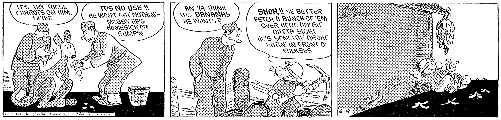 Line OCR: LE'S TRY THESE IT'S NO USE ! HE WONT EAT NOTHIAS - MEBBY HE'S HOMESICK OR SUMPN AN YA THINK (TS BANANAS HE WANTS? CARROTS ON HIMSPIKE SHOR! YE BETTER FETCH A BUNCH OF 'EM OUER HERE AN' GIT OUT TA SIGHT HE'S SENSITIF ABOUT EATIN' IN FRONT O FOLKSES Cagur. 1942Wetll gin r il LE'S TRY THESE IT'S NO USE ! HE WONT EAT NOTHIAS - MEBBY HE'S HOMESICK OR SUMPN AN YA THINK (TS BANANAS HE WANTS? CARROTS ON HIMSPIKE SHOR! YE BETTER FETCH A BUNCH OF 'EM OUER HERE AN' GIT OUT TA SIGHT HE'S SENSITIF ABOUT EATIN' IN FRONT O FOLKSES Cagur. 1942Kng Peatures SynulvateWetll gin r il