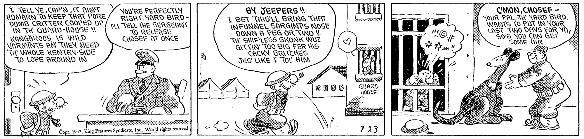 Drawing OCR: I TELL YEIT AINT HUMARN TO KEEP THAT PORE DUMB CRITTER COOPED UP/ M TELL THE SERGEANT IN TH GUARD-HOUSE V KANGAROOS IS WILD VARMINTS AN THEY NEED TH' WHOLE KENTRY-SIDE TO LOPE AROUND IN BY JEEPERS ! I BET THIS'LL BRING THAT INFUNNEL SARGINT'S NOSE DOWN A PEG OR TWO ! TH' SHIF'LESS SKONK WUZ GITTIN TOO BIG FER HIS CACKY BRITCHES JES LIKE I TOL HIM C'MONCHOSEF - YOUR PALTH' YARD BIRD WANTS TO PUT IN YOUR LAST TWO DAVS FOR YASo'S YOU CAN GET SOME AIR YOU'RE PERFECTLY RIGHTYARD BIRD- TO RELEASE CHOSEF AT ONCE "O. ?n! GUARD HOUSE Copt. 1942World rights reserved 7 23 I TELL YEIT AINT HUMARN TO KEEP THAT PORE DUMB CRITTER COOPED UP/ M TELL THE SERGEANT IN TH GUARD-HOUSE V KANGAROOS IS WILD VARMINTS AN THEY NEED TH' WHOLE KENTRY-SIDE TO LOPE AROUND IN BY JEEPERS ! I BET THIS'LL BRING THAT INFUNNEL SARGINT'S NOSE DOWN A PEG OR TWO ! TH' SHIF'LESS SKONK WUZ GITTIN TOO BIG FER HIS CACKY BRITCHES JES LIKE I TOL HIM C'MONCHOSEF - YOUR PALTH' YARD BIRD WANTS TO PUT IN YOUR LAST TWO DAVS FOR YASo'S YOU CAN GET SOME AIR YOU'RE PERFECTLY RIGHTYARD BIRD- TO RELEASE CHOSEF AT ONCE "O. ? n ! GUARD HOUSE Copt. 1942King Features SyndicateWorld rights reserved 7 23