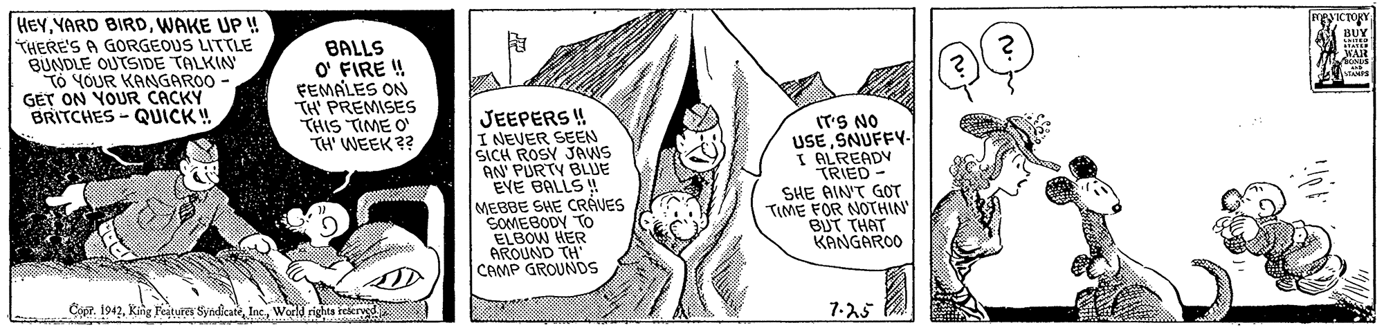 Illustration OCR: HEYWAKE UP ! THERE'S A GORGEOUS LITTLE BUNDLE OUTSIDE TALKIN To YOUR KANGAROO GET ON YOUR CACKY BRITCHES - QUICK! BALLS O' FIRE ! FEMALES ON TH' PREMISES THIS TIME O TH WEEK ?? WAR JEEPERS ! I NEVER SEEN SICH ROSY JAWS AN' PURTY BLUE EVE BALLS ! MEBBE SHE CRÁVES SOMEBODY To ELBOW HER ARQUND TH CAMP GROUNDS IT'S NO USE SNUFFY- I ALREADV TRIED - SHE AIN'T GOT TIME FOR NOTHIN' BUT THAT KANGAROO Copr. 1942World rights reserved 7.25 HEYYARD BIRDWAKE UP ! THERE'S A GORGEOUS LITTLE BUNDLE OUTSIDE TALKIN To YOUR KANGAROO GET ON YOUR CACKY BRITCHES - QUICK! BALLS O' FIRE ! FEMALES ON TH' PREMISES THIS TIME O TH WEEK ?? WAR JEEPERS ! I NEVER SEEN SICH ROSY JAWS AN' PURTY BLUE EVE BALLS ! MEBBE SHE CRÁVES SOMEBODY To ELBOW HER ARQUND TH CAMP GROUNDS IT'S NO USE SNUFFY- I ALREADV TRIED - SHE AIN'T GOT TIME FOR NOTHIN' BUT THAT KANGAROO Copr. 1942King Featura SyndicateWorld rights reserved 7.25