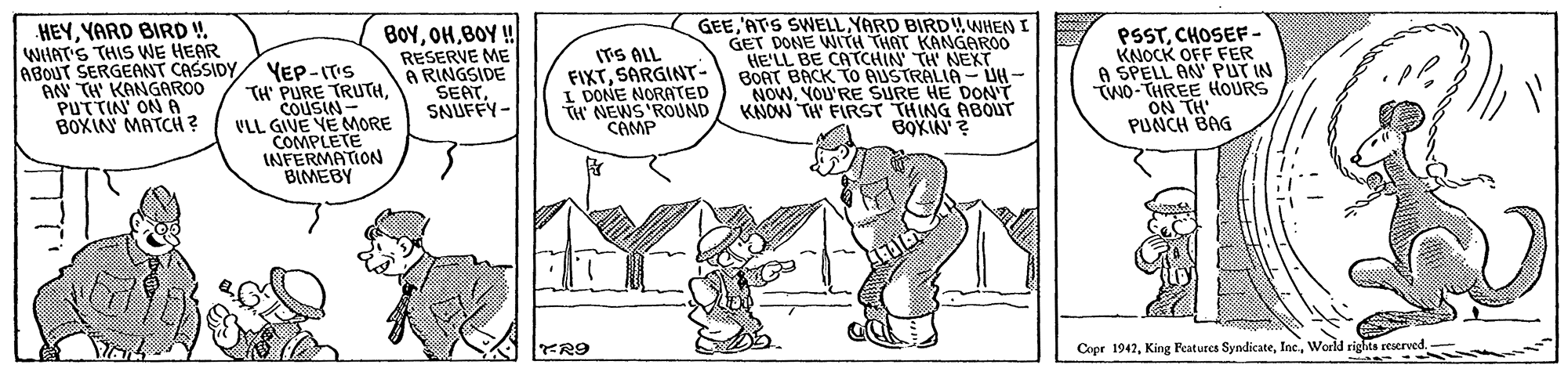 Adaptation OCR: HEYYARD BIRD V. WiHAT'S THIS WE HEAR ABOUT SERGEANT CASSIDYAN TH' KANGAROO PUTTIN' ON A BOXIN MATCHi ? YEP-ITS TH' PURE TRUTHCOUSIN- VLL GIVE YE MORE COMPLETE INFERMATION BIMEBY BoYBOY ! RESERVE ME A RINGSIDE SEATSNUFFY- ITS ALL FIXTSARGINT- I DONE NORATED TH NEWS 'ROUND CAMP GEEYARD BIRDWHEN GET DONE WITH THAT KANGAROO HE'LL BE CATCHIN TH NEXT BORT BACK TO AUSTRALIA - UH- NOWYOU'RE SURE HE DON' KNOW TH FIRST THING ABOUT BOKIN? PSSTCHOSEF- KNOCK OFF FER A SPELL AN PUT IN WO-THREE HOURS ON TH PUNCH BAG R9 Copr 1942World rights reserved. HEYYARD BIRD V. WiHAT'S THIS WE HEAR ABOUT SERGEANT CASSIDYAN TH' KANGAROO PUTTIN' ON A BOXIN MATCHi ? YEP-ITS TH' PURE TRUTHCOUSIN- VLL GIVE YE MORE COMPLETE INFERMATION BIMEBY BoYBOY ! RESERVE ME A RINGSIDE SEATSNUFFY- ITS ALL FIXTSARGINT- I DONE NORATED TH NEWS 'ROUND CAMP GEE'ATS SWELLYARD BIRDWHEN GET DONE WITH THAT KANGAROO HE'LL BE CATCHIN TH NEXT BORT BACK TO AUSTRALIA - UH- NOWYOU'RE SURE HE DON' KNOW TH FIRST THING ABOUT BOKIN? PSSTCHOSEF- KNOCK OFF FER A SPELL AN PUT IN WO-THREE HOURS ON TH PUNCH BAG R9 Copr 1942King Features SyndicateWorld rights reserved.