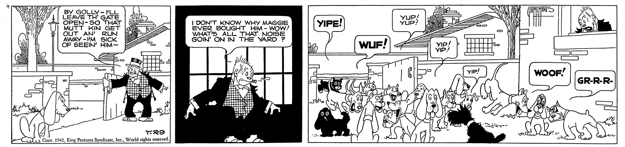 Drawing OCR: BY GOLLY- PLL LEAVE TH' GATE OPEN-SO THAT MUTT KIN GET OUT AN' RUN AWAY YIPE! YUP! YUP! I DON'T KNOW WHY MAGGIE EVER BOUGHT HIM - WOW. WHAT'S ALL THAT NOISE GOIN ON IN THE YARD? AY-VM SICK OF SEEIN' HIM- WUF! YIP! YIP! WOOF! GR-R-R- Conr. 1942World rights reserved. BY GOLLY- PLL LEAVE TH' GATE OPEN-SO THAT MUTT KIN GET OUT AN' RUN AWAY YIPE! YUP! YUP! I DON'T KNOW WHY MAGGIE EVER BOUGHT HIM - WOW. WHAT'S ALL THAT NOISE GOIN ON IN THE YARD? AY-VM SICK OF SEEIN' HIM- WUF! YIP! YIP! WOOF! GR-R-R- Conr. 1942King Features SyndicateWorld rights reserved.