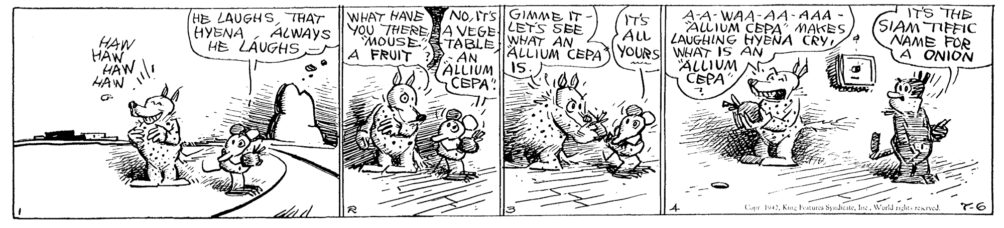 Line OCR: ITS THE (SIAM TIFFIC NAME FOR A ONION NOIT's GIMME IT - (HE LAUGHSTHAT HYENA HE LAUGHSA-A- WAA-AA-AAA ALLIUM CEPA"MAKES ALL LAUGHING HYENA CRY WHAT HAVE ALWAYS YOU THEREA VEGELETS SEE MOUSE TABLE WHAT AN AN ALLIUM IS CEPA" HAW ALLIUM CEPA YOURS WHAT IS AN ALLIUM N. CEPA A FRUIT "HAWI HAW ? Ligr 4lae. World relt eaved. 92. ITS THE (SIAM TIFFIC NAME FOR A ONION NOIT's GIMME IT - (HE LAUGHSTHAT HYENA HE LAUGHSA-A- WAA-AA-AAA ALLIUM CEPA"MAKES ALL LAUGHING HYENA CRY WHAT HAVE ALWAYS YOU THEREA VEGELETS SEE MOUSE TABLE WHAT AN AN ALLIUM IS CEPA" HAW ALLIUM CEPA YOURS WHAT IS AN ALLIUM N. CEPA A FRUIT "HAWI HAW ? Ligr 4Kang Fraturcs Syndicatelae. World relt eaved. 92.