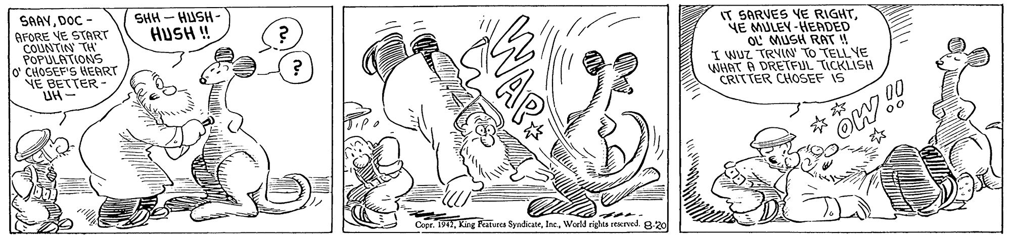 Adaptation OCR: SAAYDOC - AFORE VE START COUNTIN TH POPULATIONS CHOSEF'S HEART VE BETTER UH- SHH - HUSH - HUSH ! IT SARVES YE RIGHTNE MULEY-HEADED OL' MUSH RAT ! I WUZ TRYIN' TO TELL YE WHAT A DRETFUL TICKLISH CRITTER CHOSEF IS ? ? OW. 00 00 Copr. 1942World rights reserved. 8-20 SAAYDOC - AFORE VE START COUNTIN TH POPULATIONS CHOSEF'S HEART VE BETTER UH- SHH - HUSH - HUSH ! IT SARVES YE RIGHTNE MULEY-HEADED OL' MUSH RAT ! I WUZ TRYIN' TO TELL YE WHAT A DRETFUL TICKLISH CRITTER CHOSEF IS ? ? OW. 00 00 Copr. 1942King Features SyndicateWorld rights reserved. 8-20